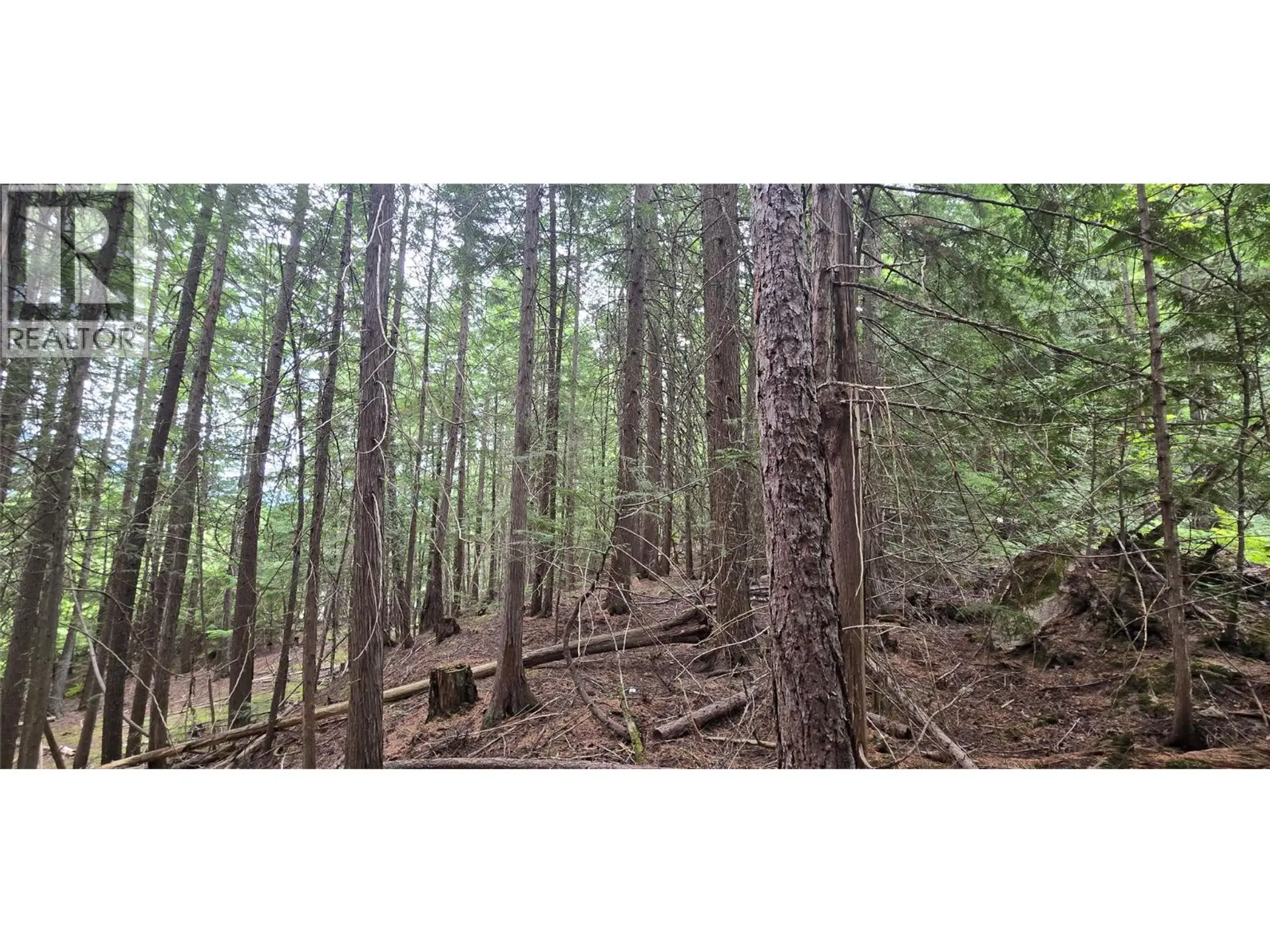 Property at 4560 6 HIGHWAY, Winlaw, BC