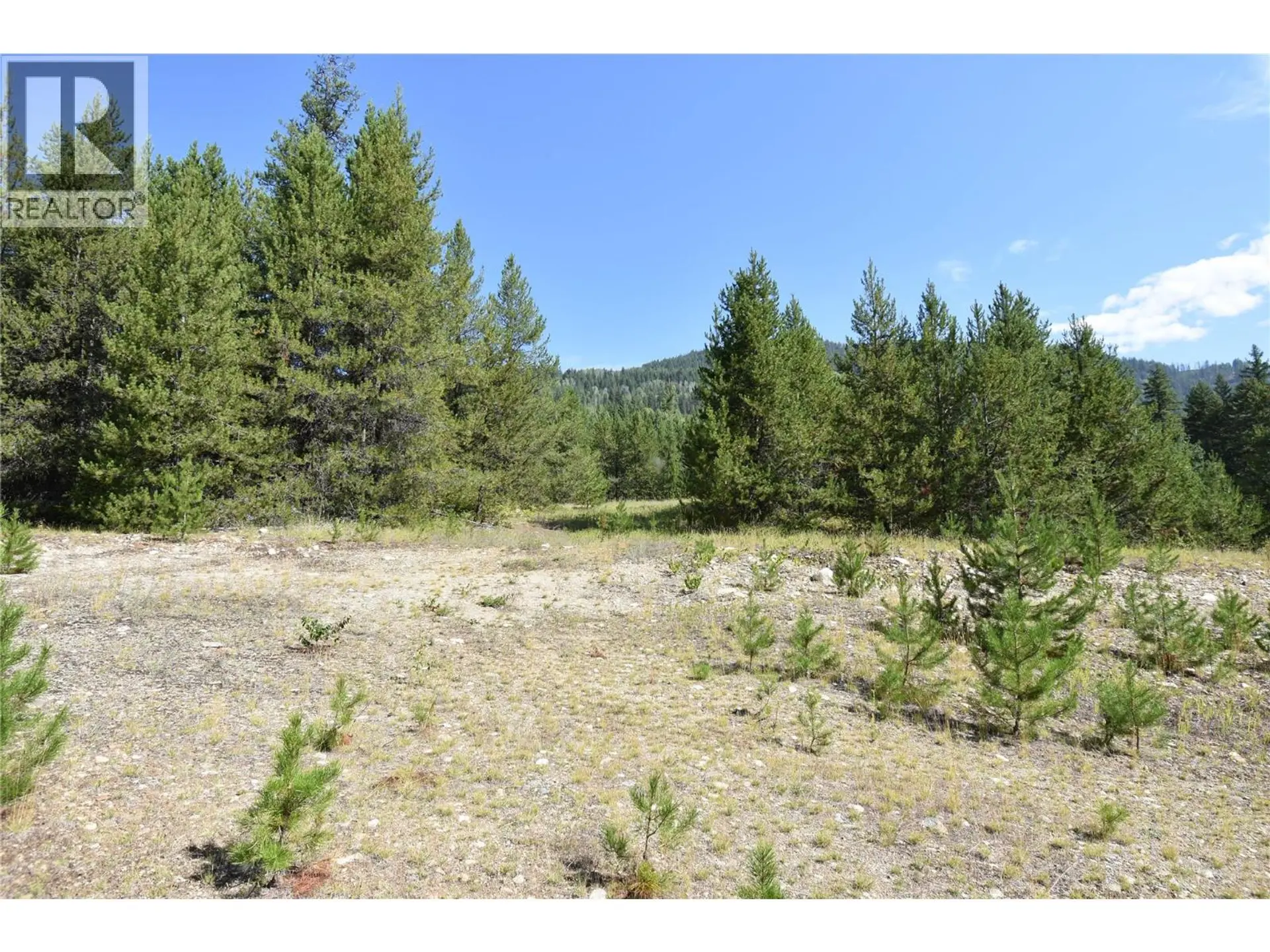 Property at 4125 ROSS SPUR ROAD, Fruitvale, BC