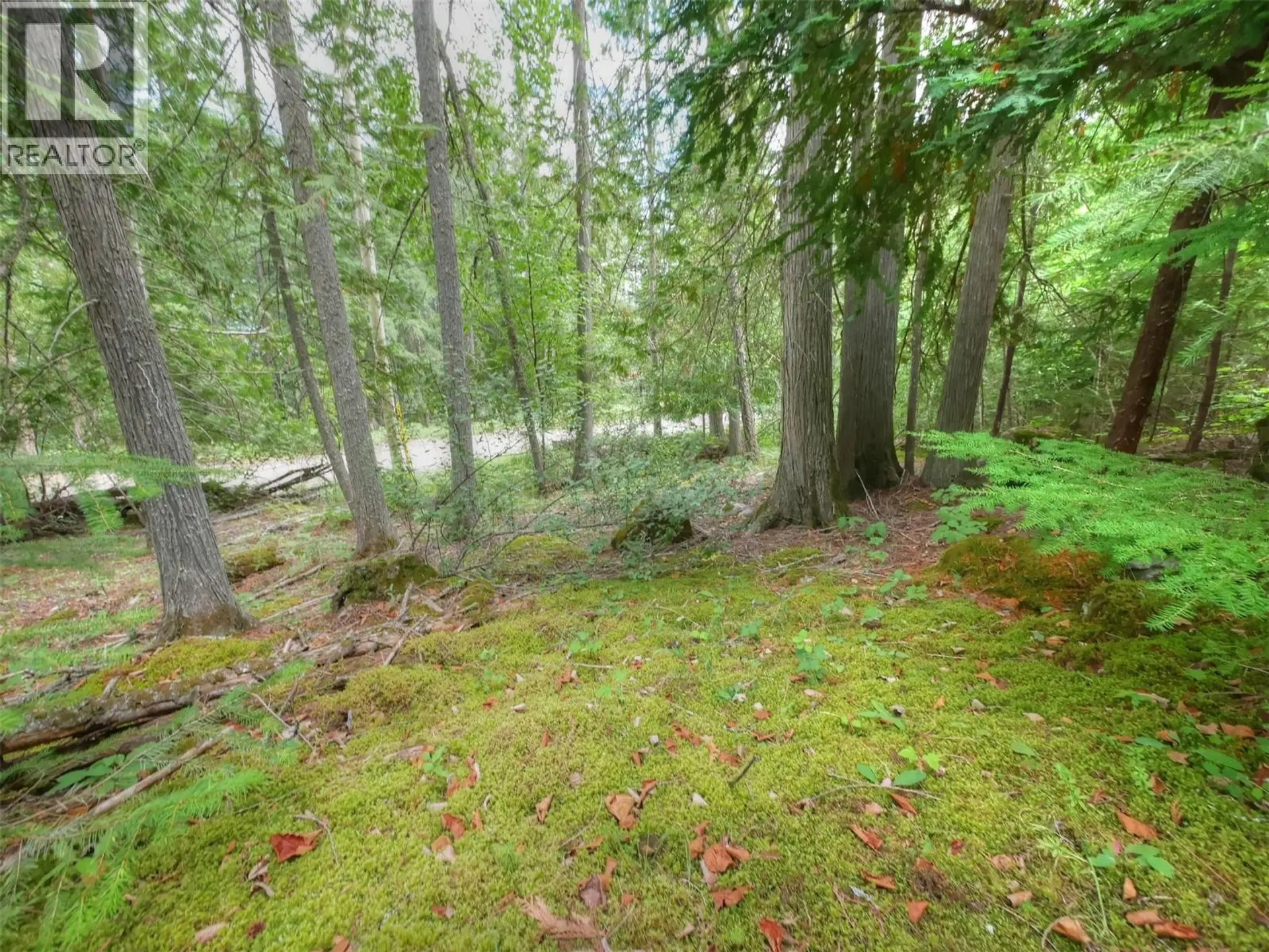 Property at NEEDLES NORTH ROAD LOT# 1, Needles, BC
