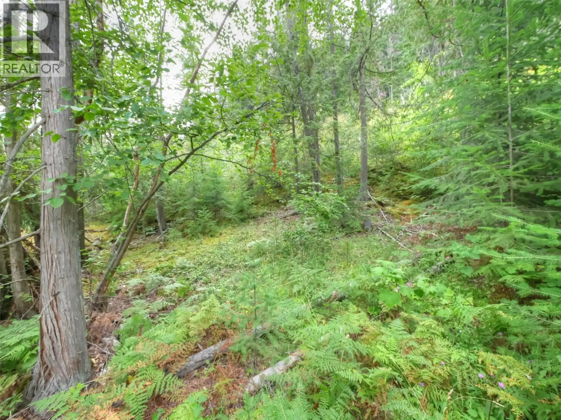 Property at NEEDLES NORTH ROAD LOT# 1, Needles, BC