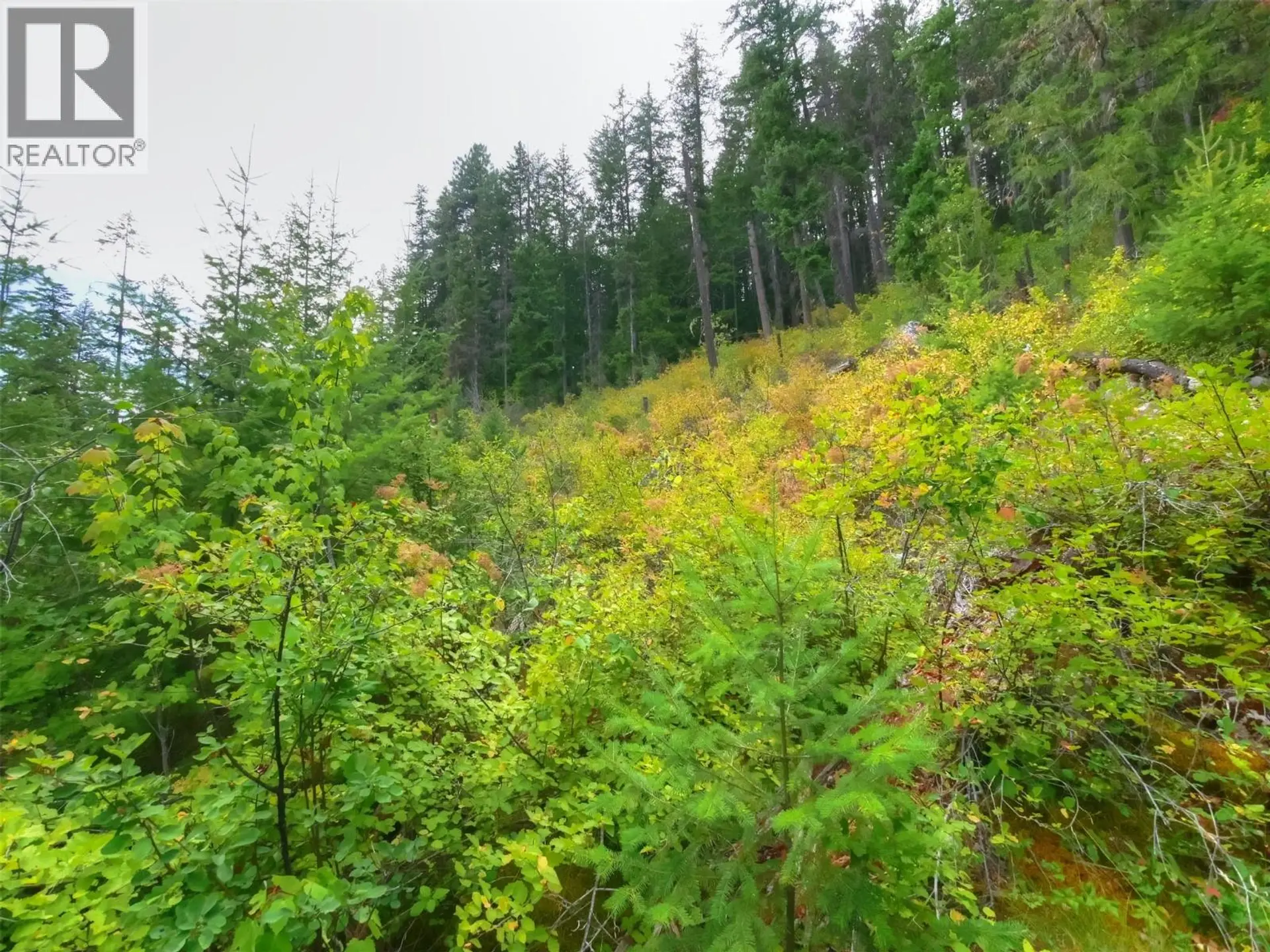 Property at NEEDLES NORTH ROAD LOT# 1, Needles, BC