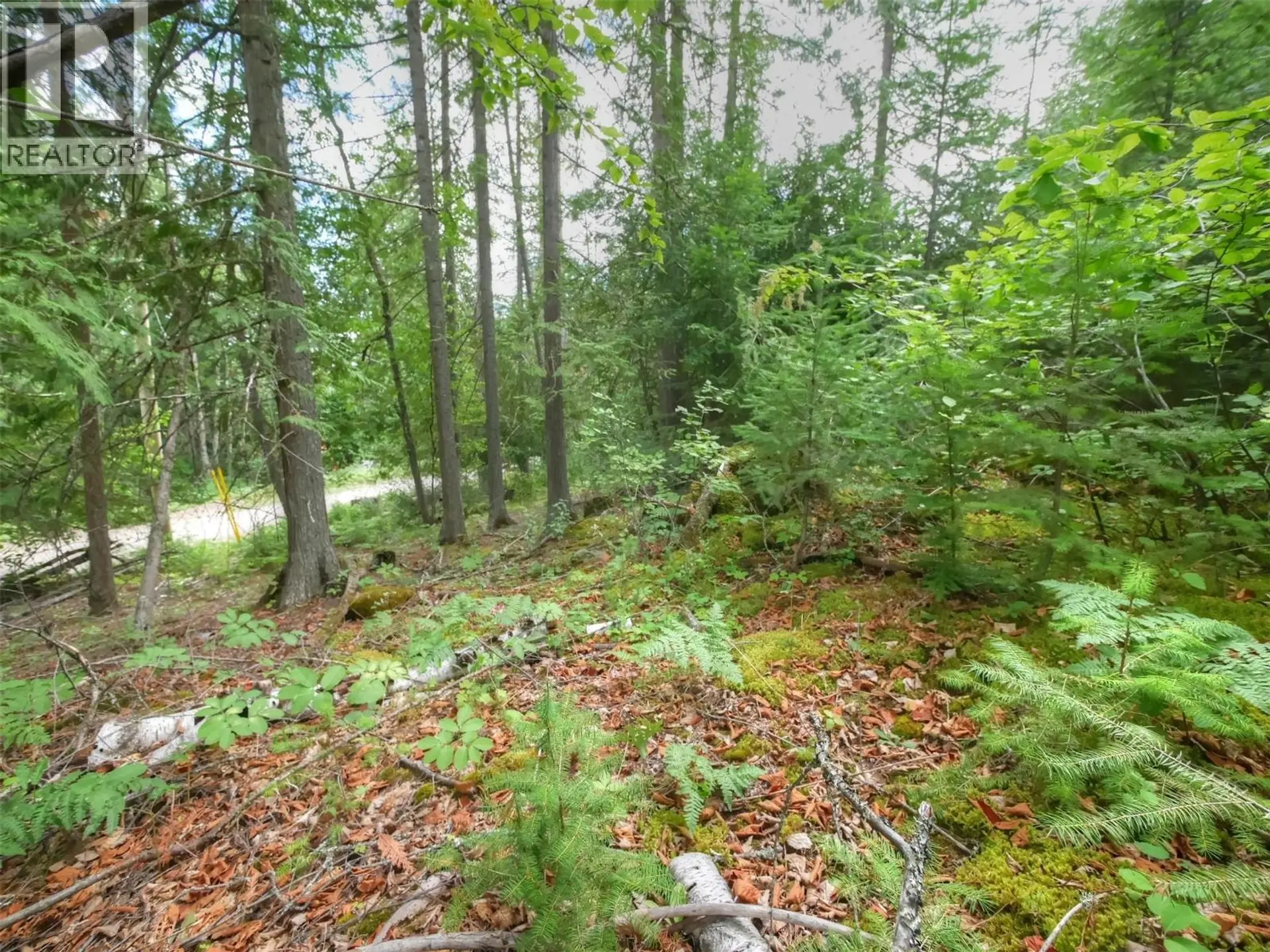 Property at NEEDLES NORTH ROAD LOT# 1, Needles, BC