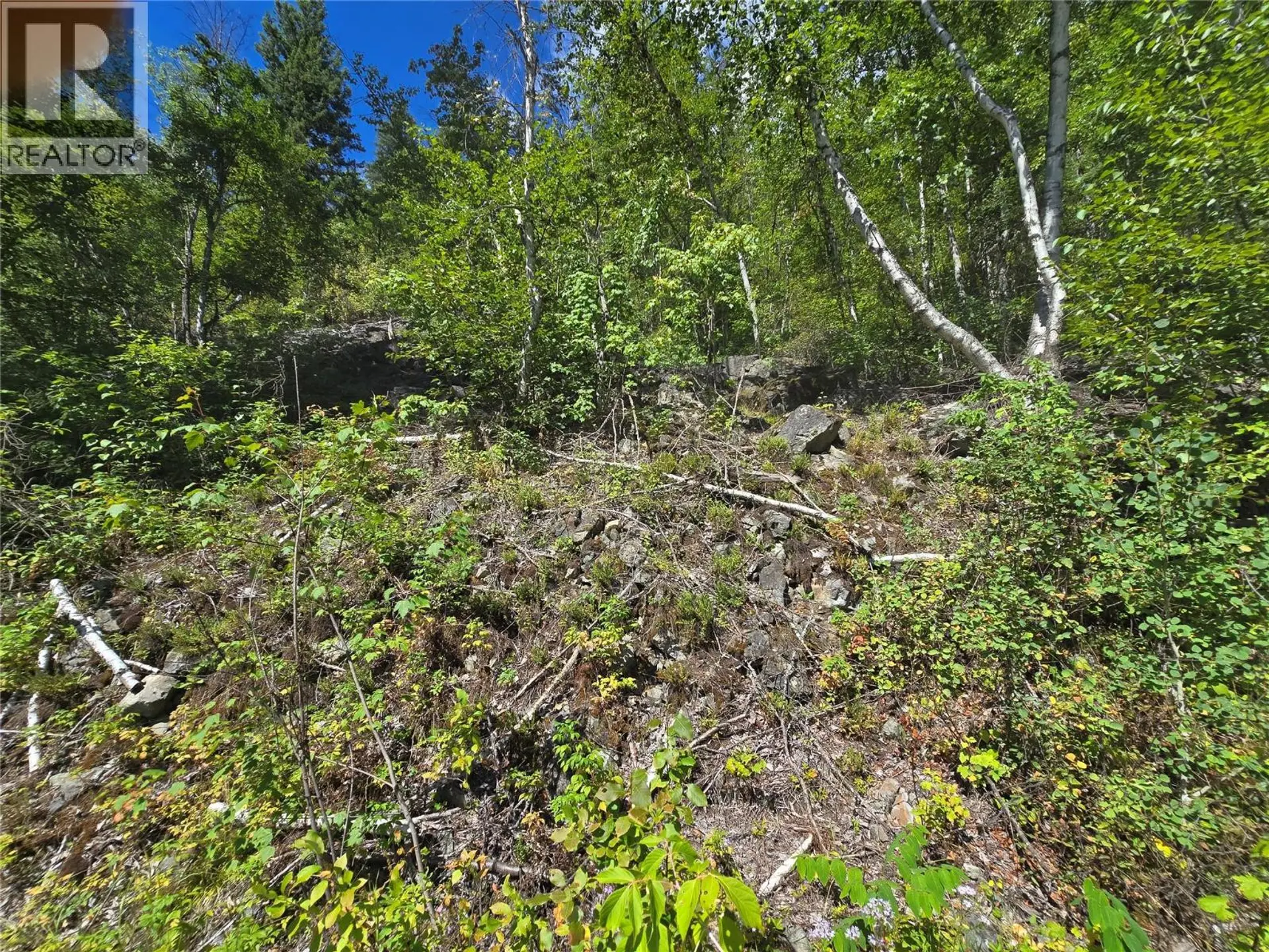 Property at 3418 ROUNDTOP ROAD, Clearwater, BC