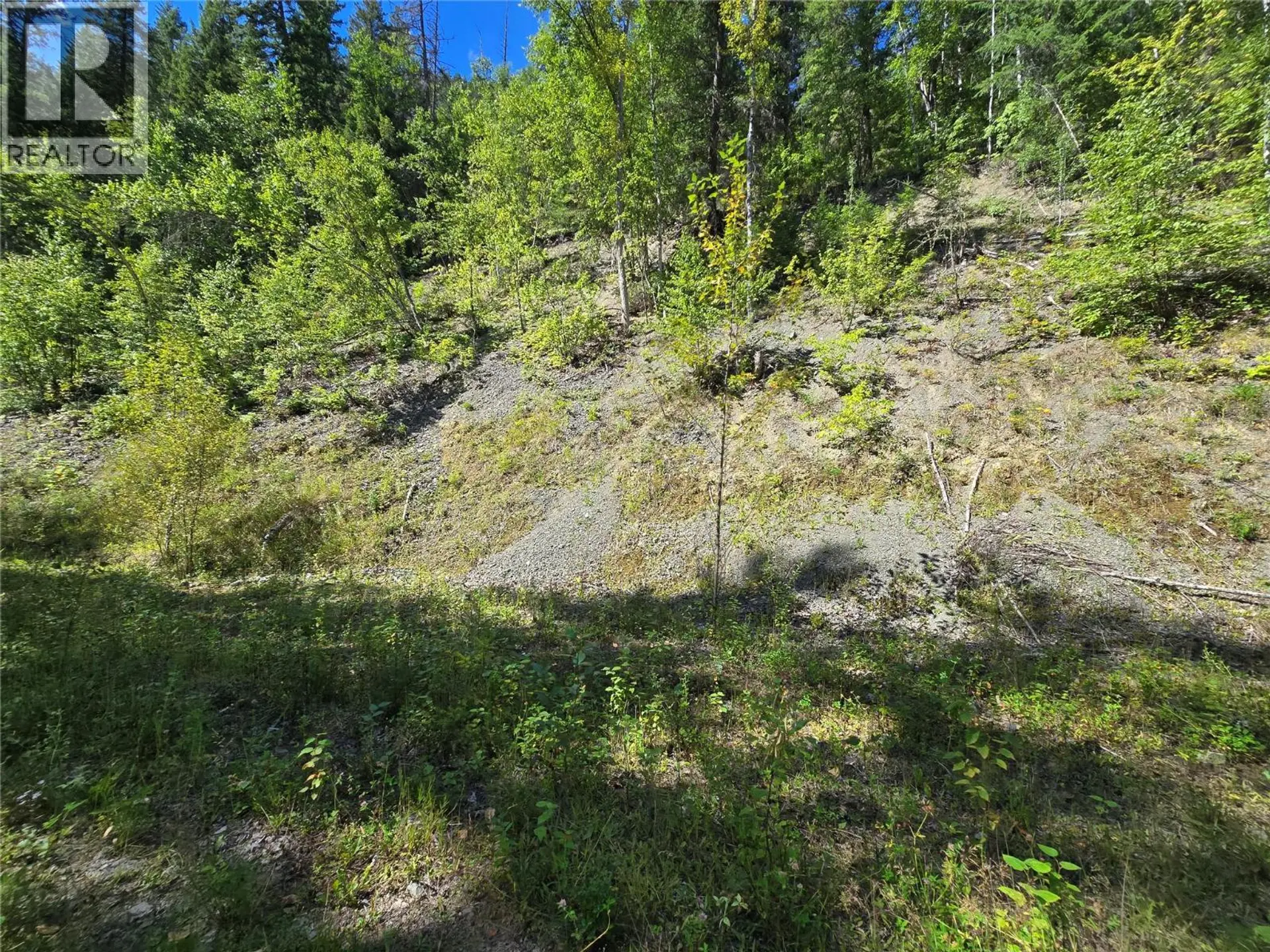 Property at 3418 ROUNDTOP ROAD, Clearwater, BC