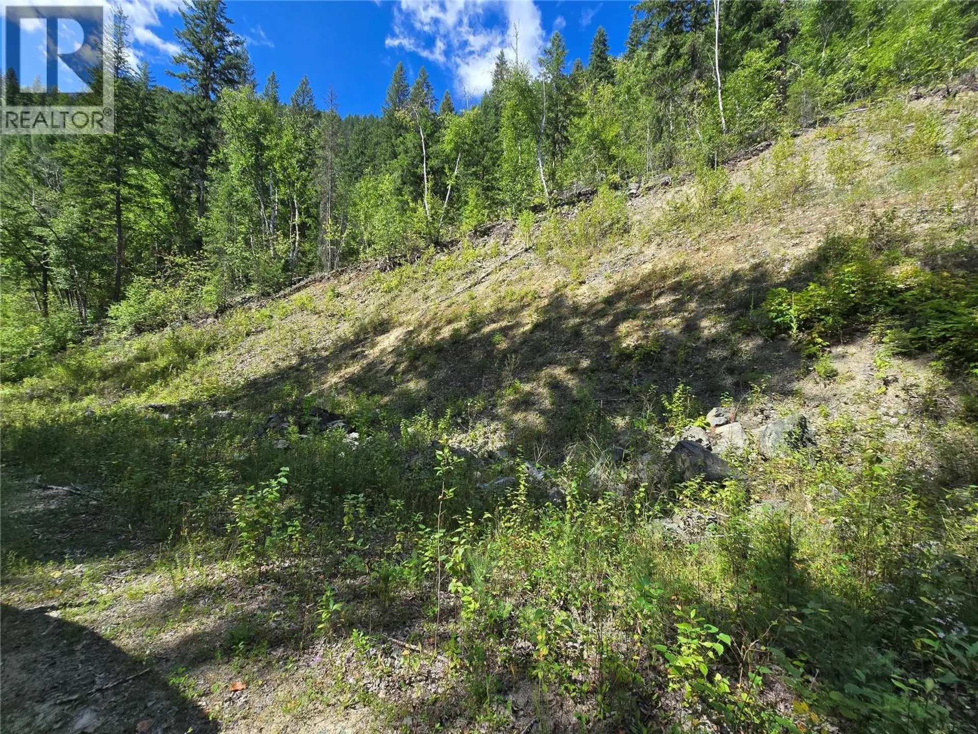 Property at 3418 ROUNDTOP ROAD, Clearwater, BC