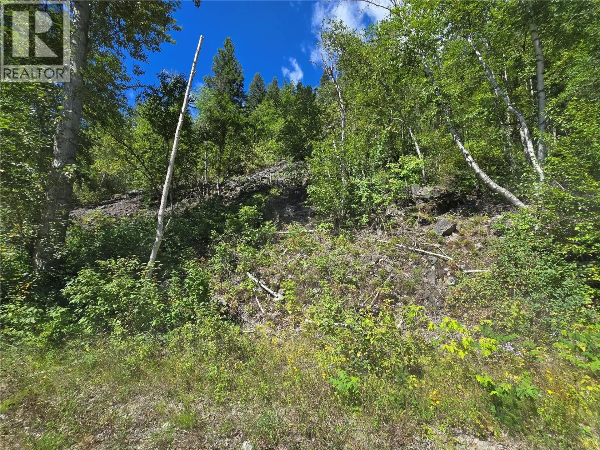 Property at 3418 ROUNDTOP ROAD, Clearwater, BC