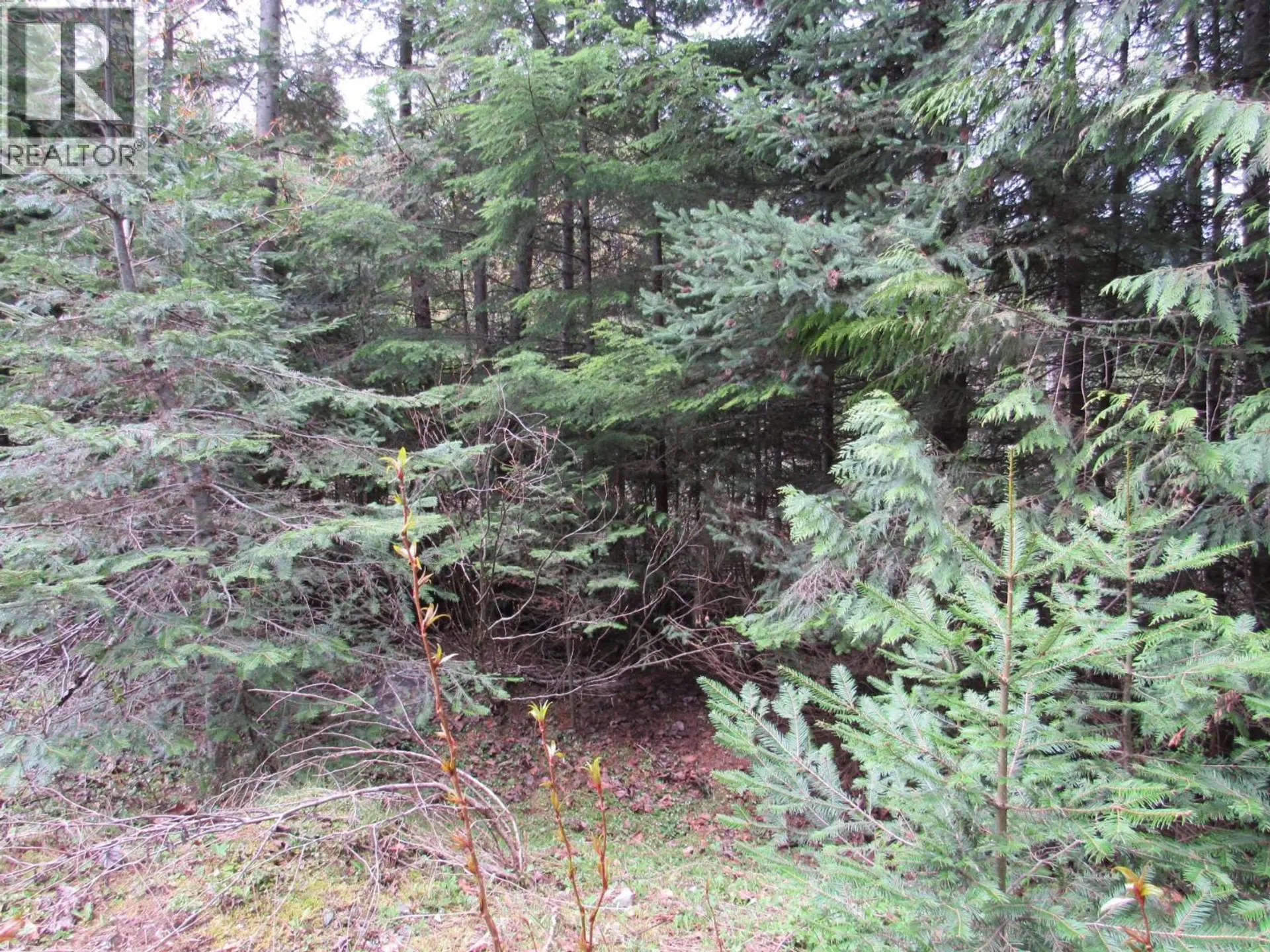 Property at LOT B 3 HIGHWAY, Salmo, BC