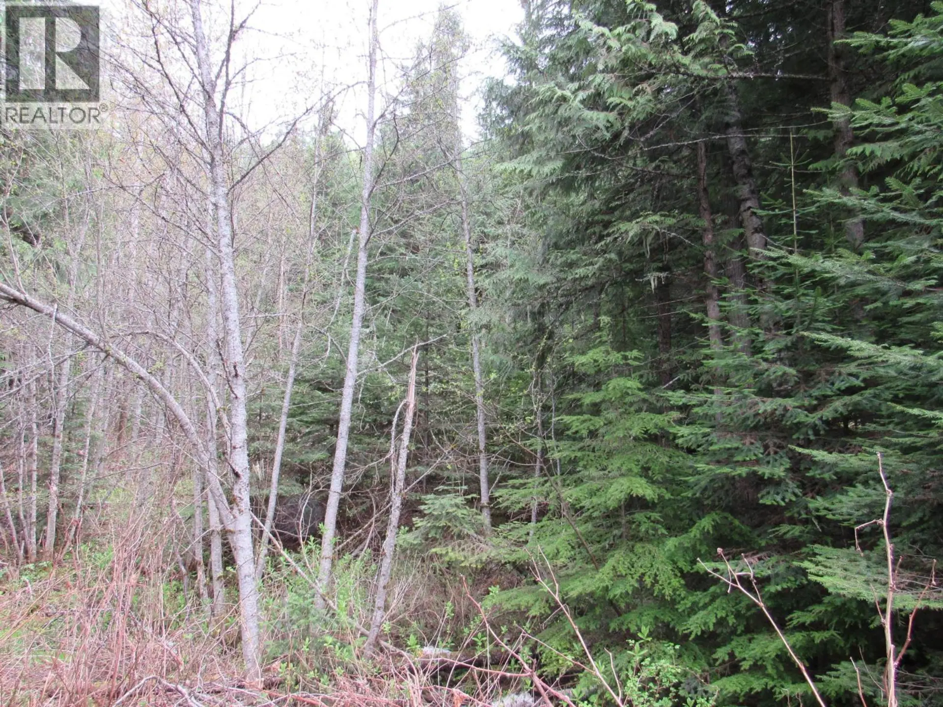 Property at LOT B 3 HIGHWAY, Salmo, BC