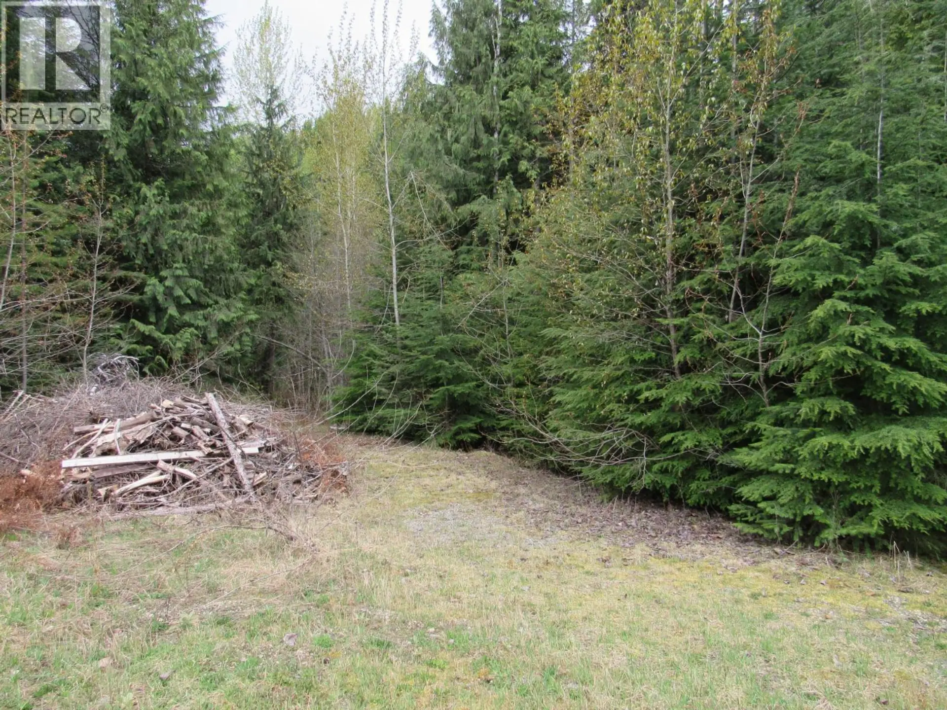 Property at LOT B 3 HIGHWAY, Salmo, BC