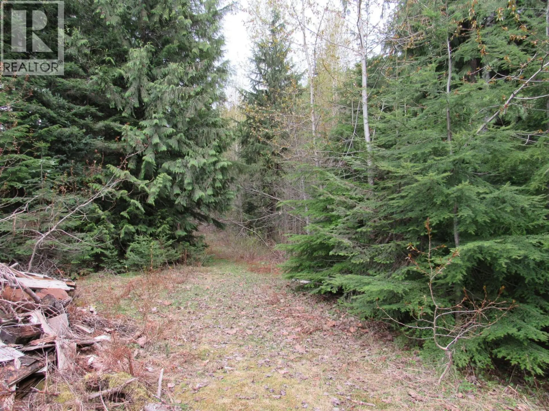Property at LOT B 3 HIGHWAY, Salmo, BC