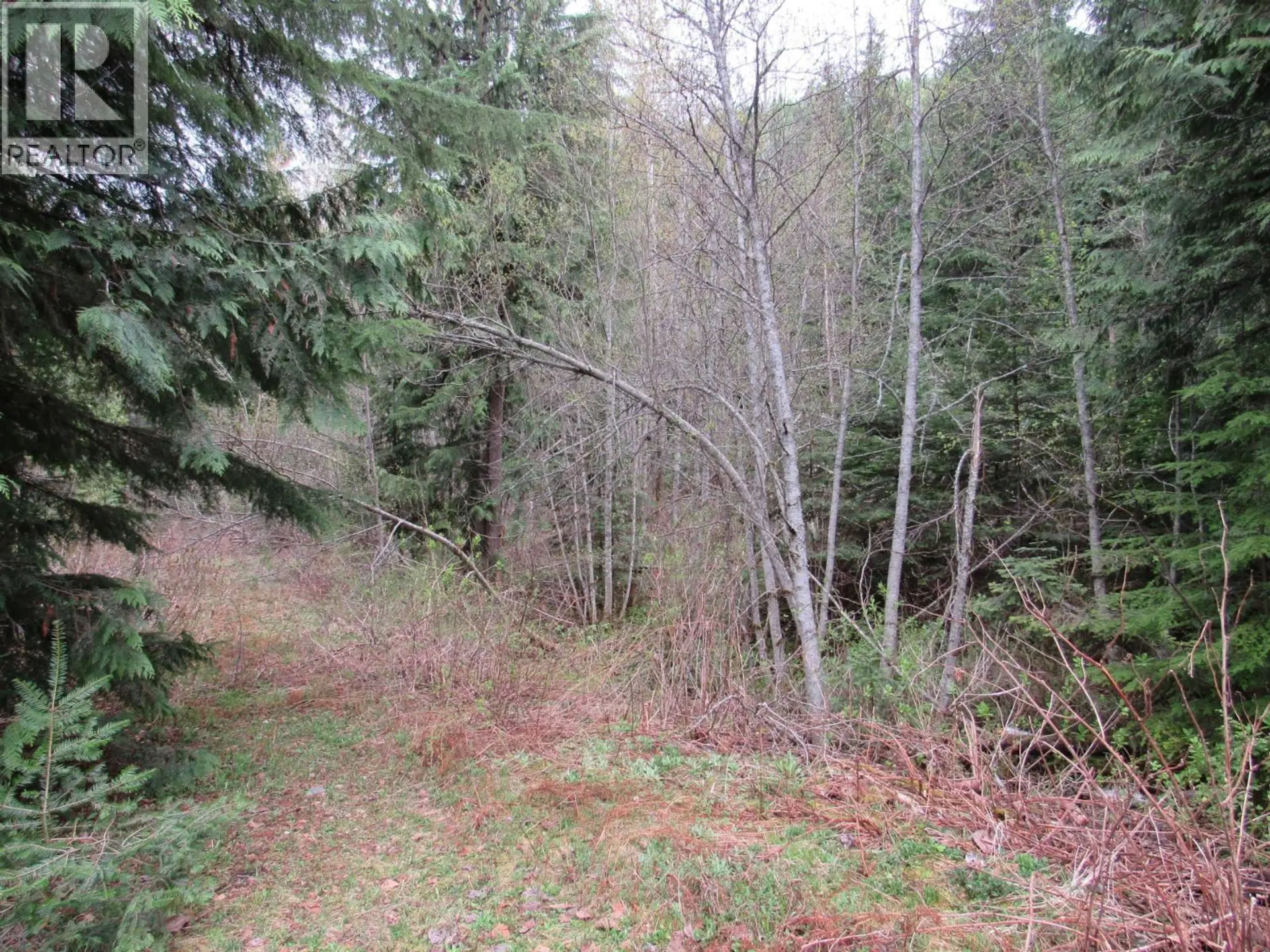 Property at LOT B 3 HIGHWAY, Salmo, BC