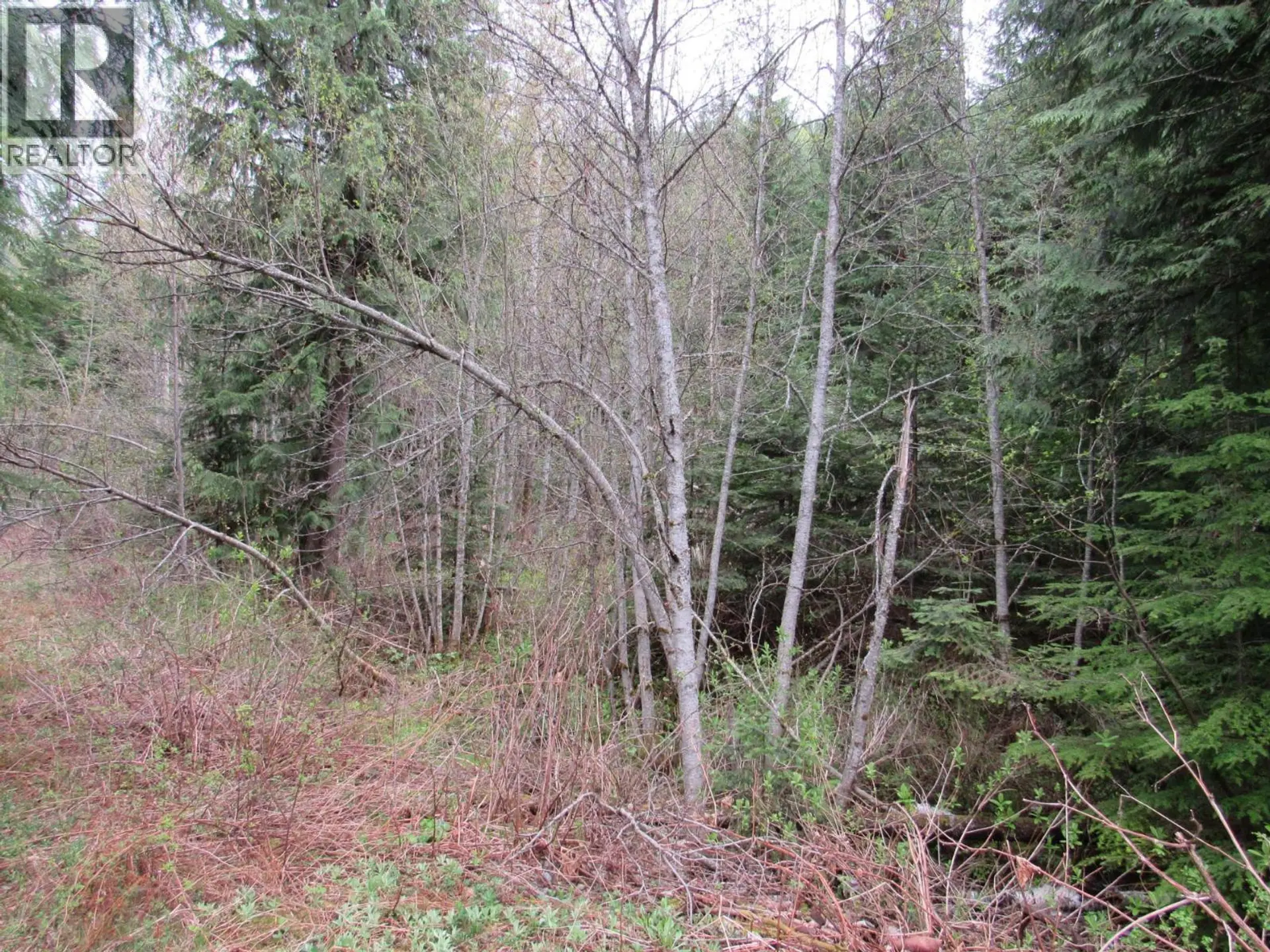 Property at LOT B 3 HIGHWAY, Salmo, BC