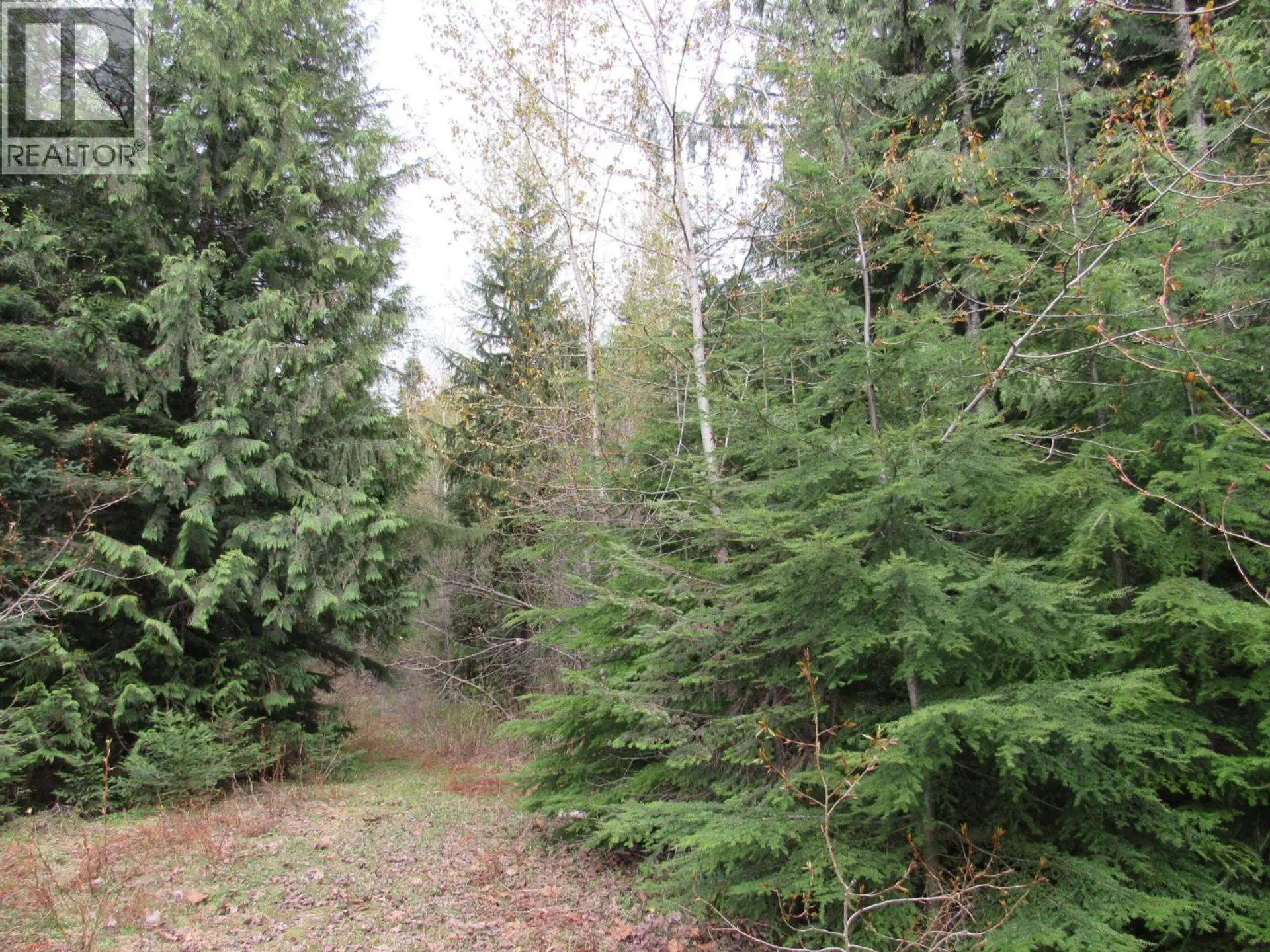 Property at LOT B 3 HIGHWAY, Salmo, BC