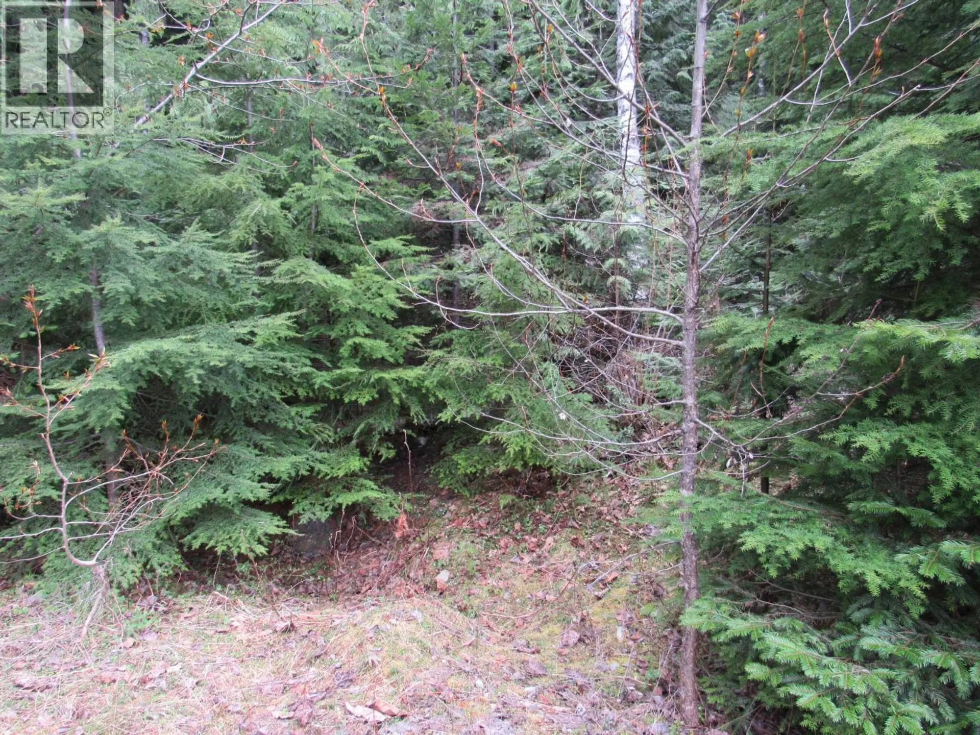 Property at LOT B 3 HIGHWAY, Salmo, BC