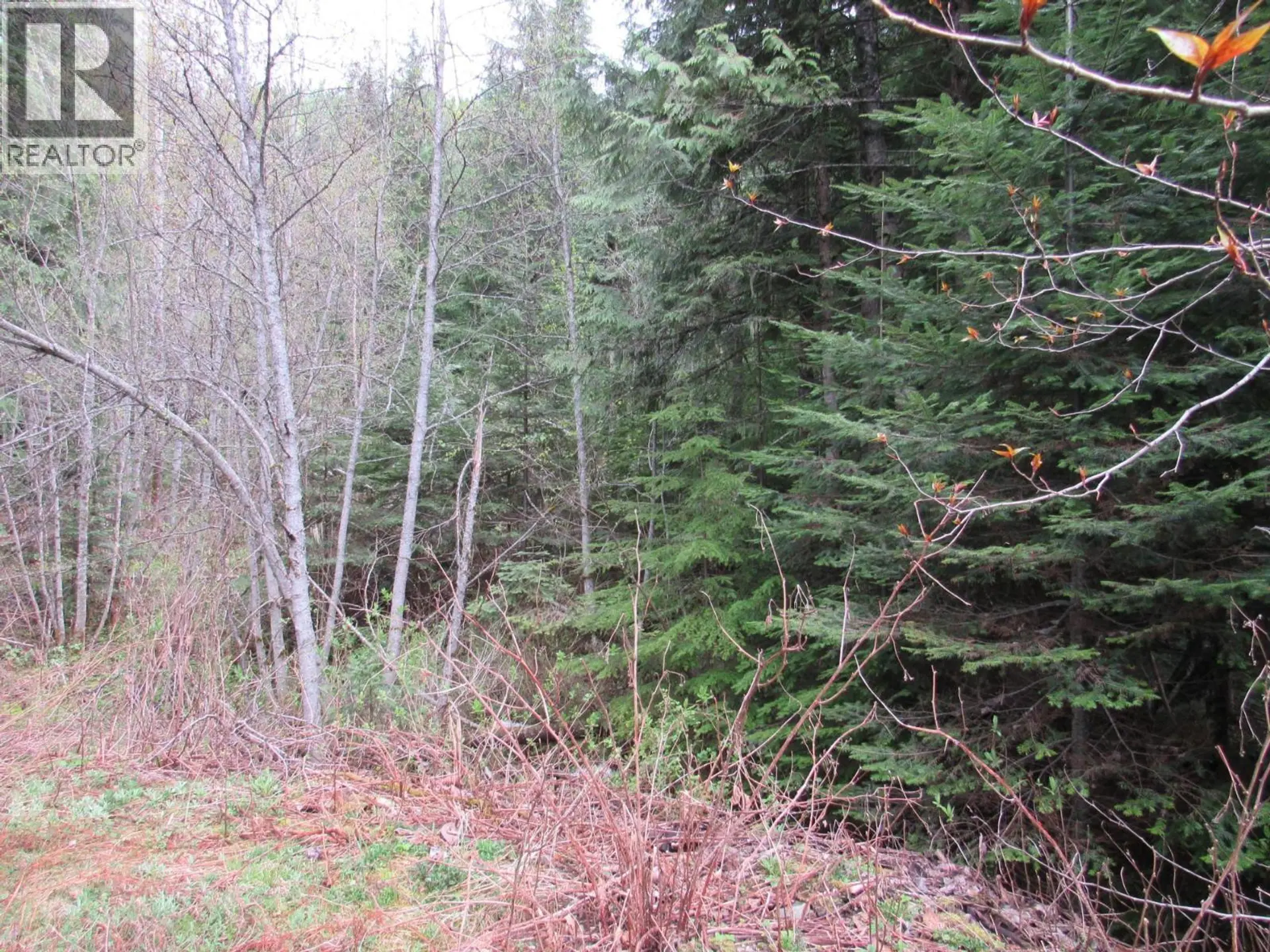 Property at LOT B 3 HIGHWAY, Salmo, BC