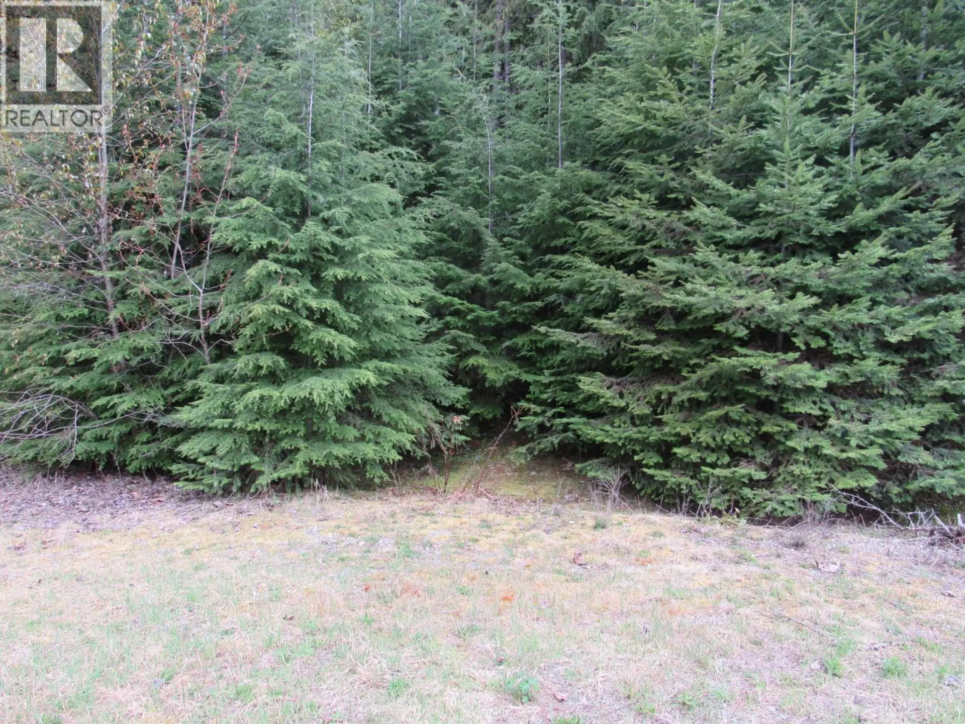 Property at LOT B 3 HIGHWAY, Salmo, BC