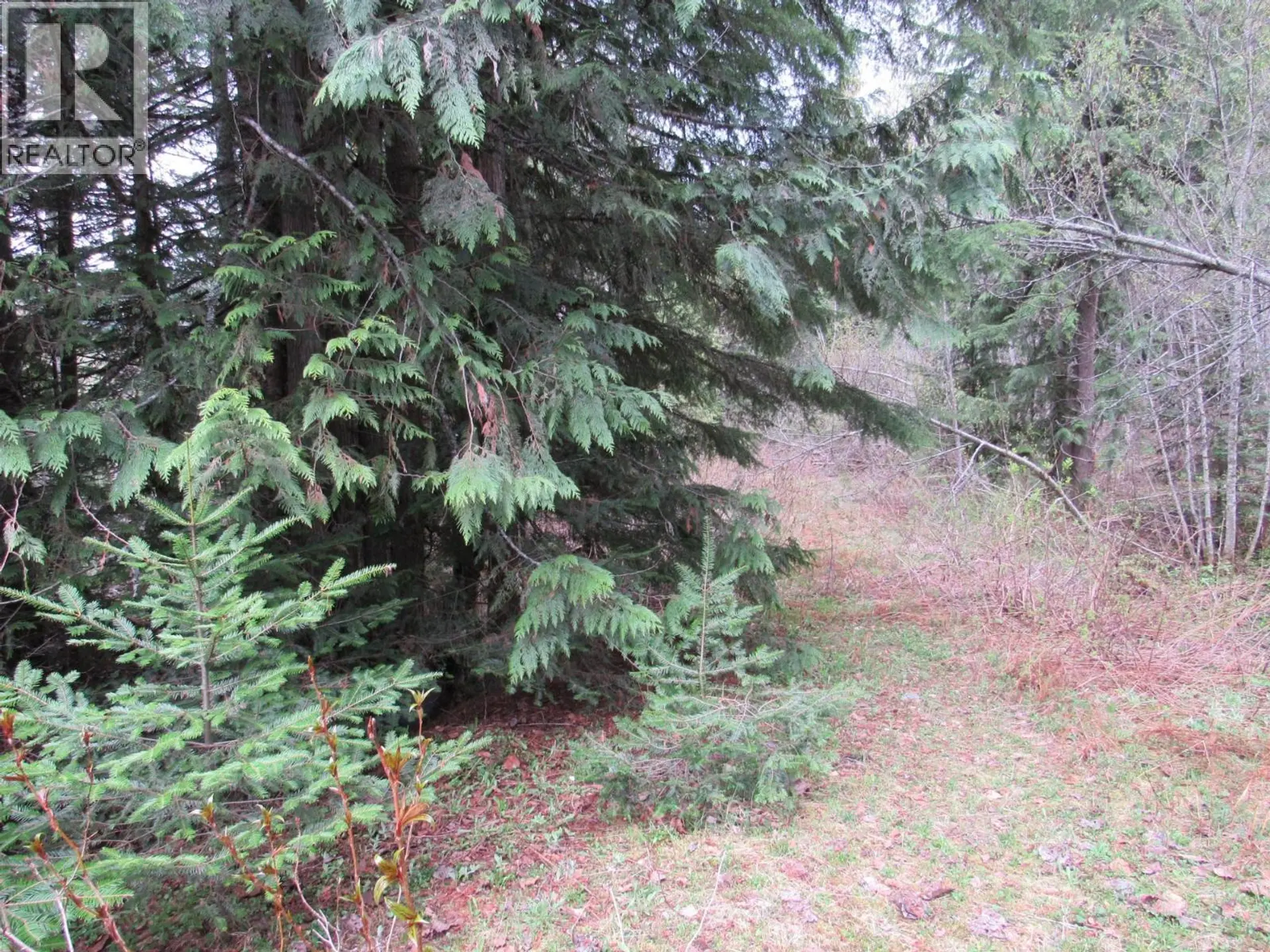 Property at LOT B 3 HIGHWAY, Salmo, BC
