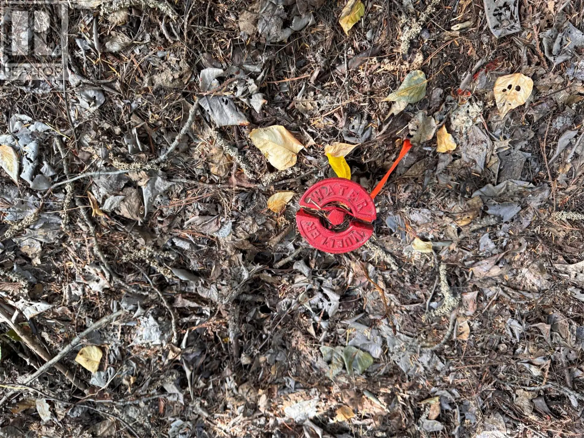 Property at LOT 1 CHASE ROAD, Christina Lake, BC