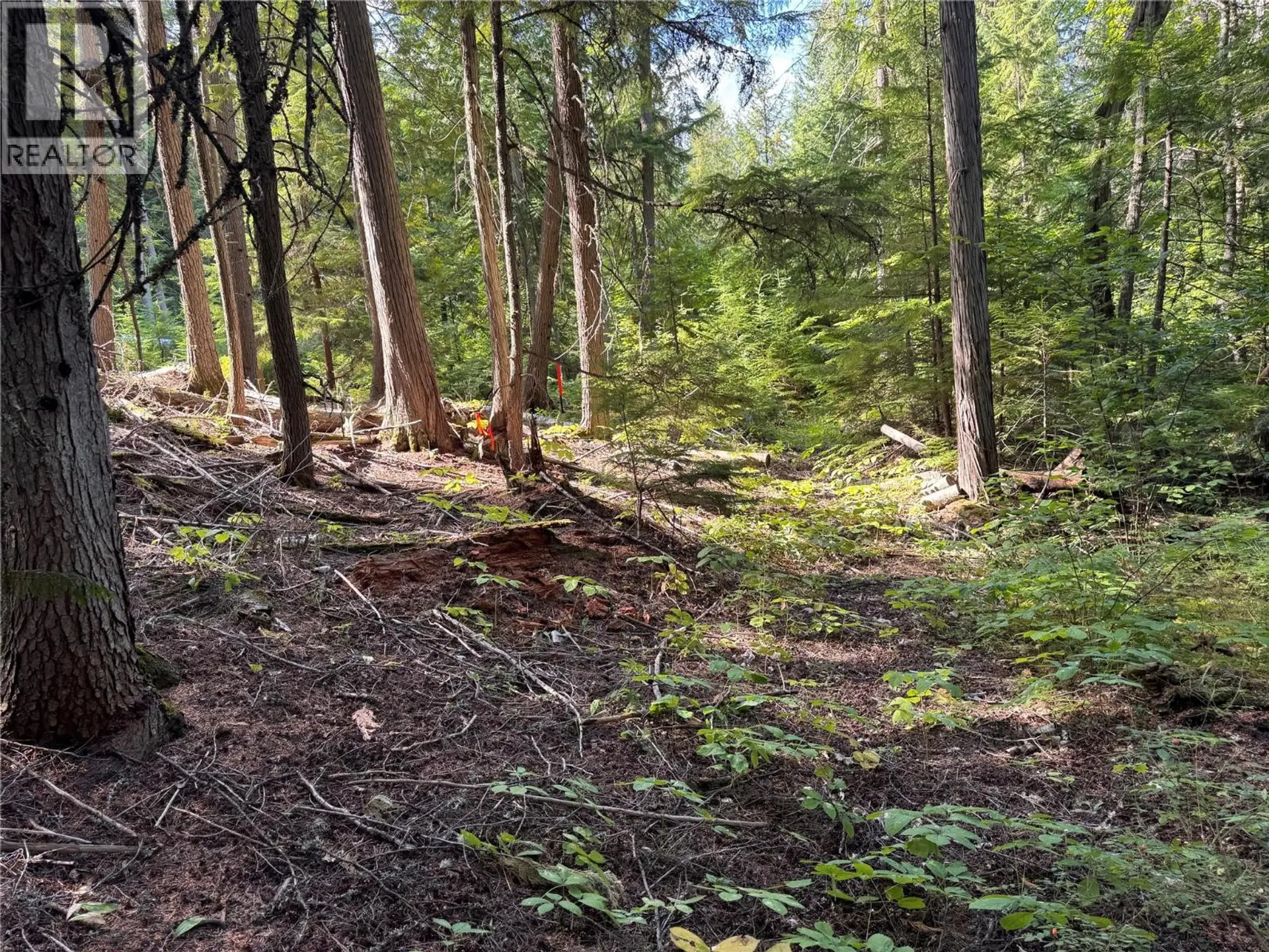 Property at LOT 1 CHASE ROAD, Christina Lake, BC