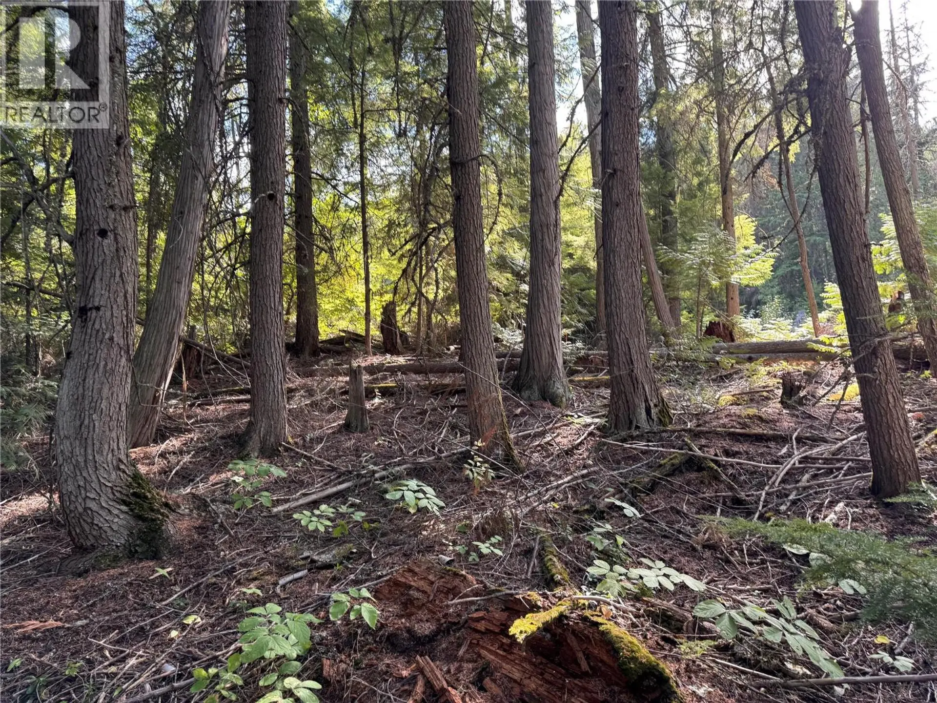 Property at LOT 1 CHASE ROAD, Christina Lake, BC