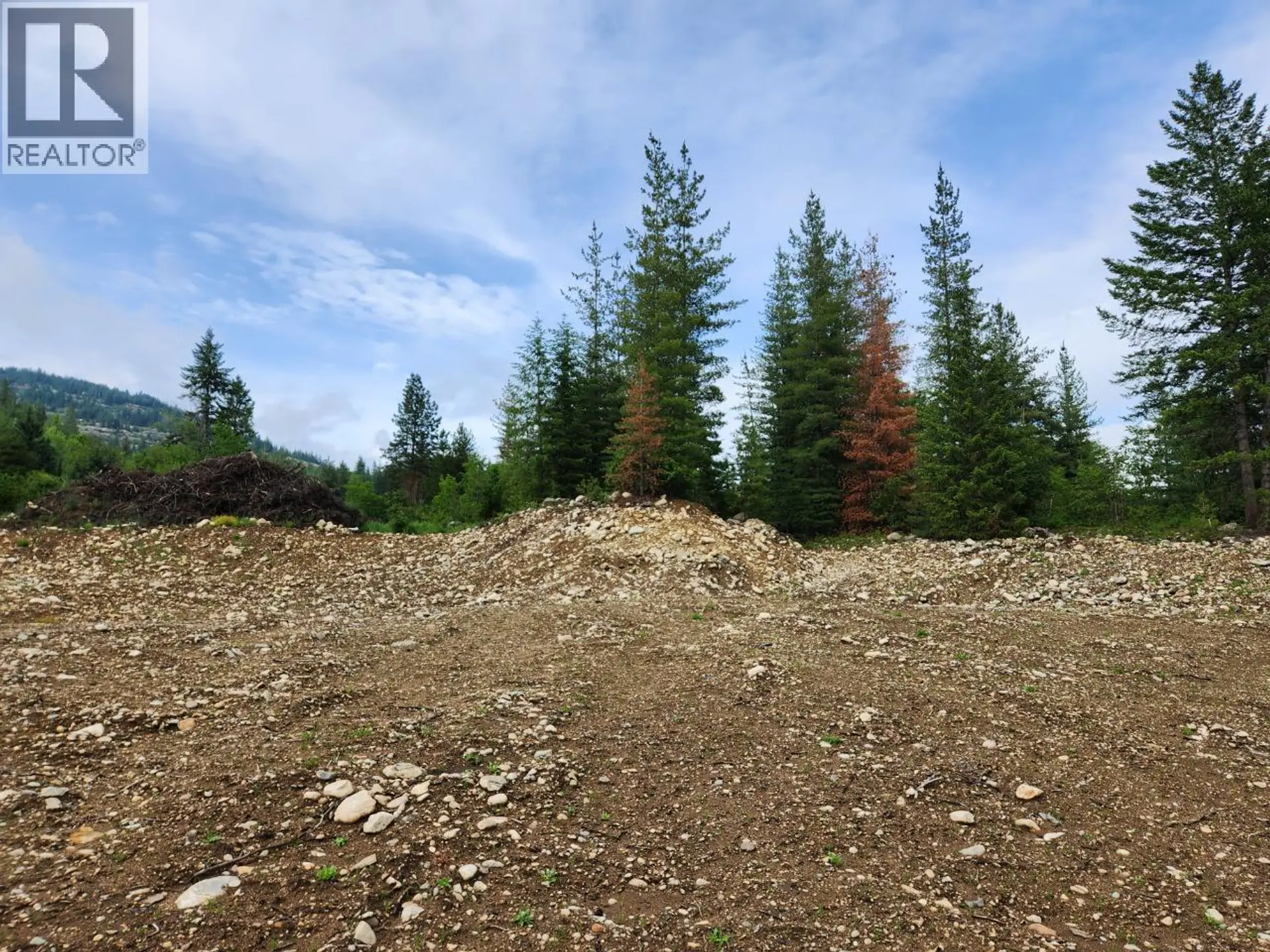 Property at BLOCK 16 22 HIGHWAY, Castlegar, BC