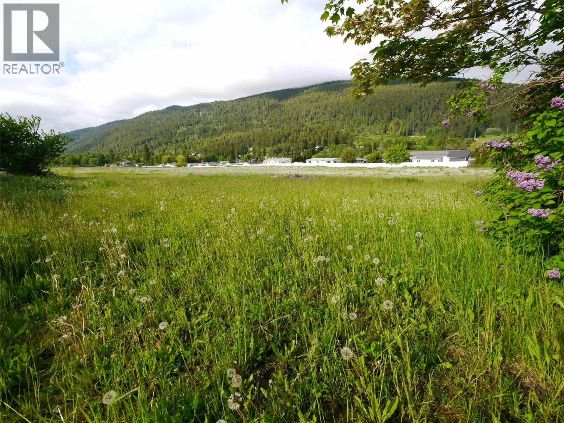 Property at 620 DEVON STREET, Creston, BC