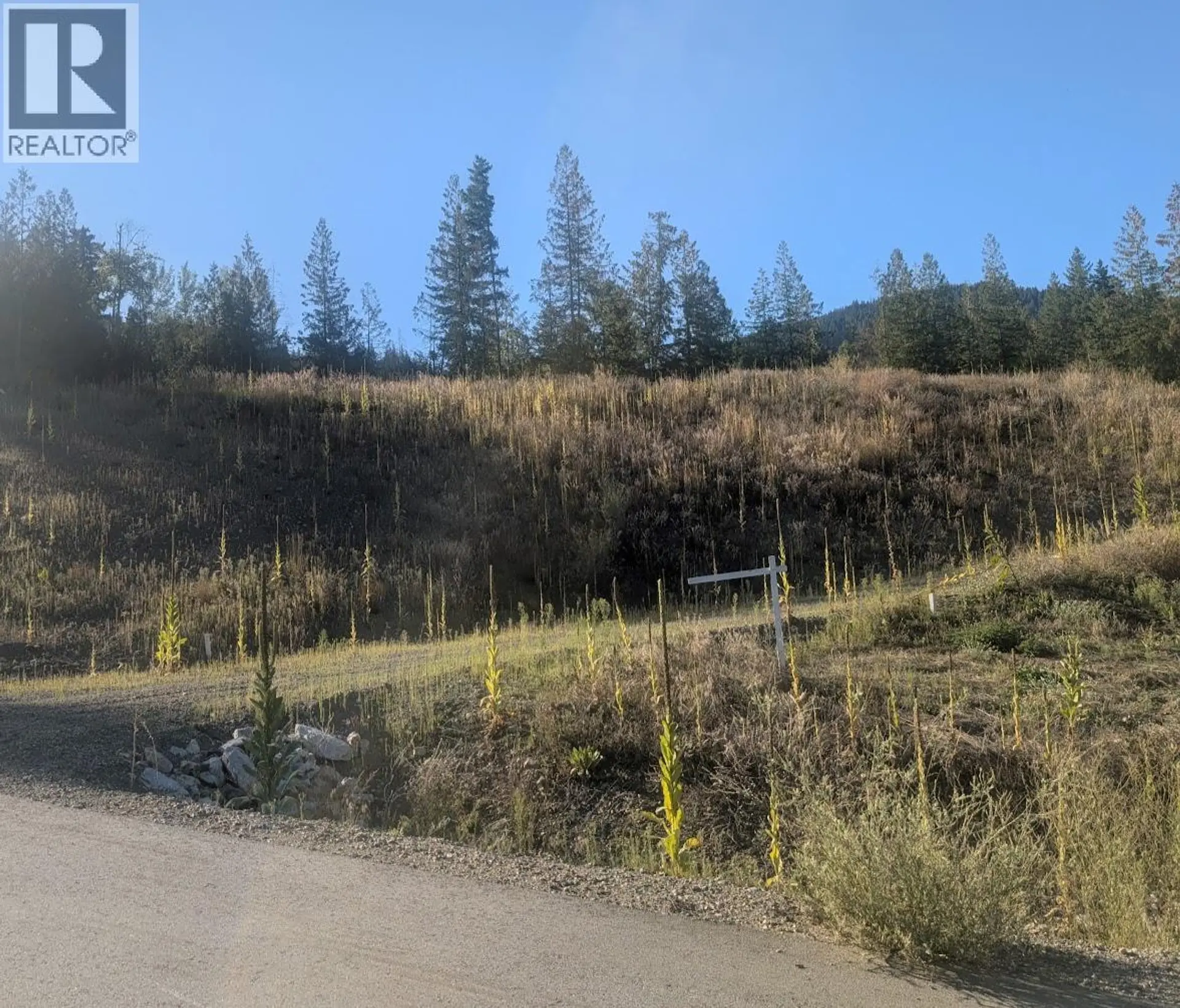 Property at 281 DOROTHY ROAD LOT# 6, Lumby, BC