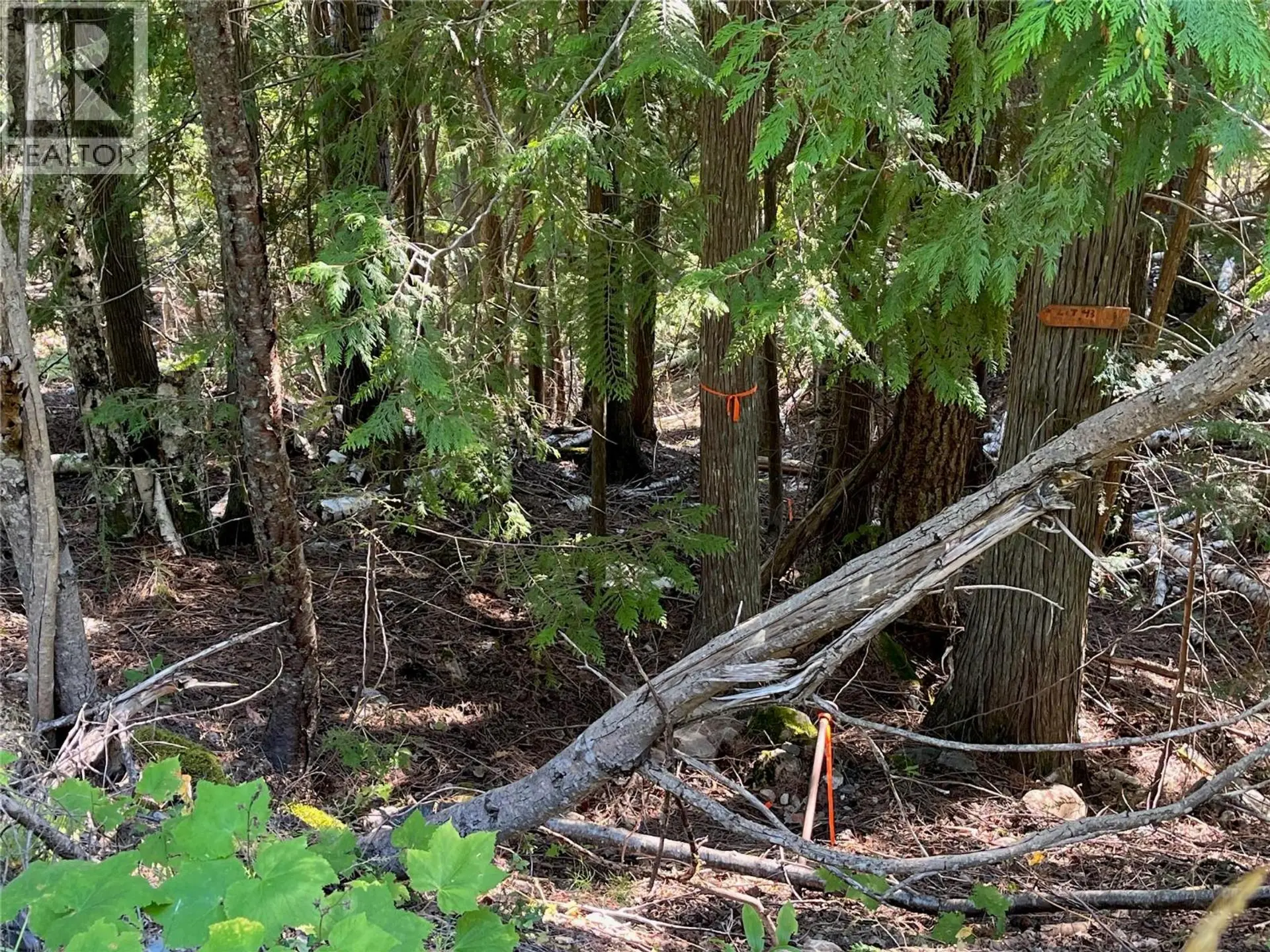 Property at LOT 43 VICKERS TRAIL LOT# 43, Anglemont, BC