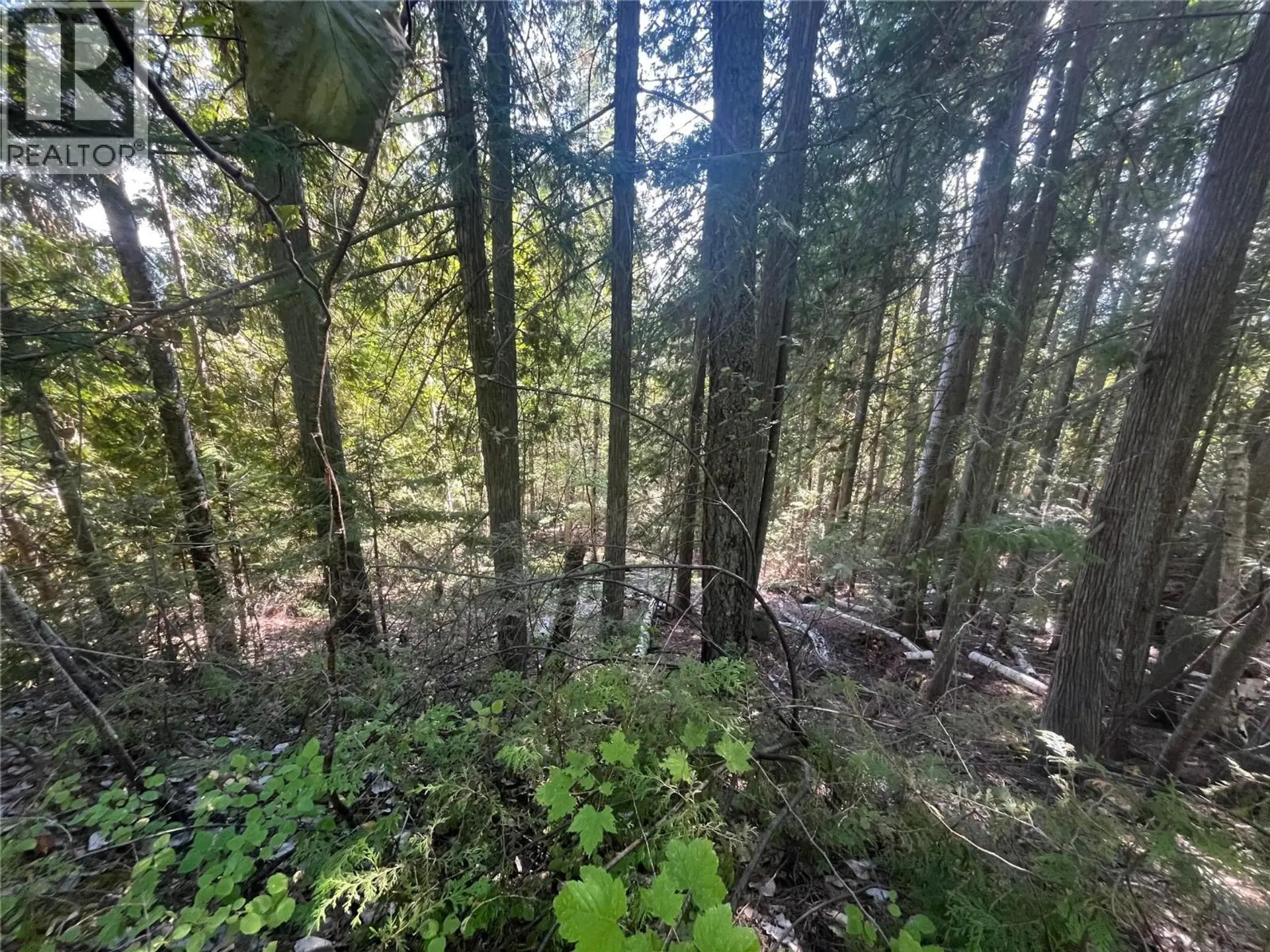 Property at LOT 43 VICKERS TRAIL LOT# 43, Anglemont, BC