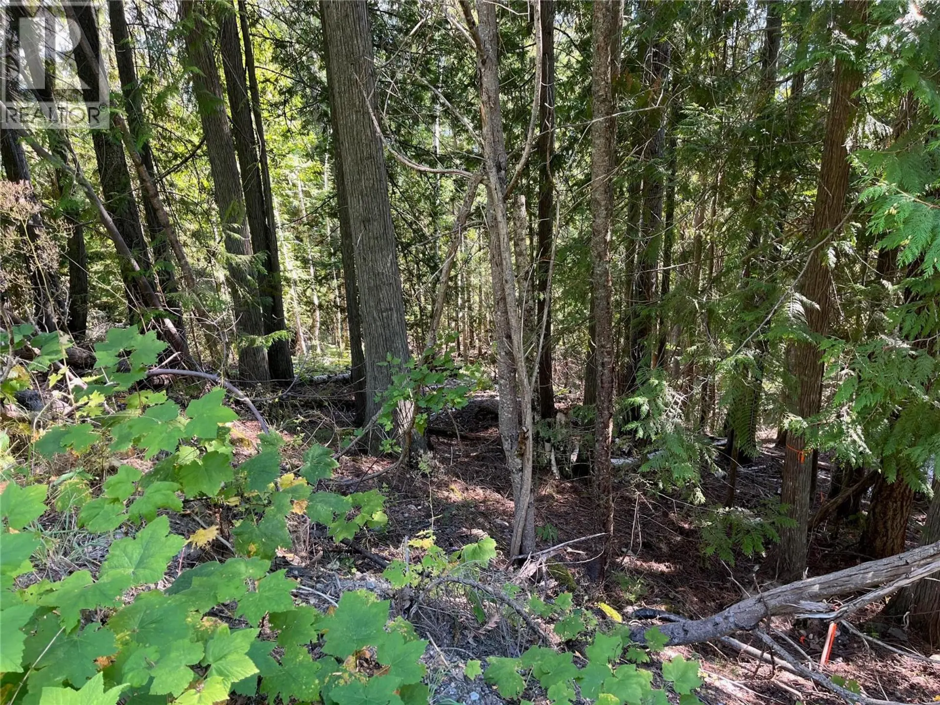 Property at LOT 43 VICKERS TRAIL LOT# 43, Anglemont, BC