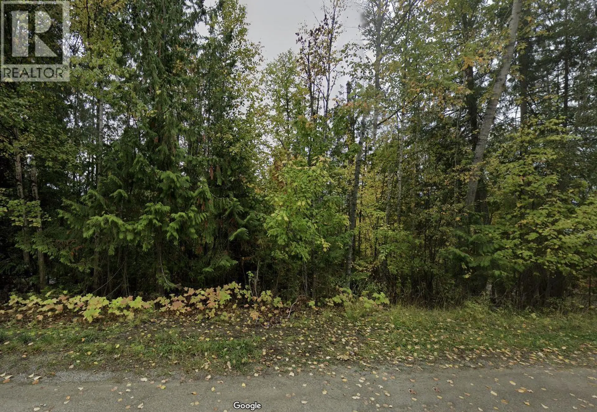 Property at STAMPEDE TRAIL LOT# 231, Anglemont, BC