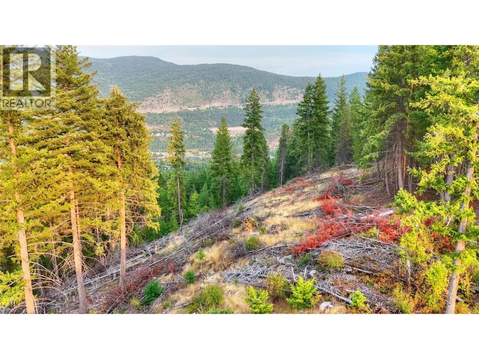 Property at 3400 14 AVENUE, Castlegar, BC