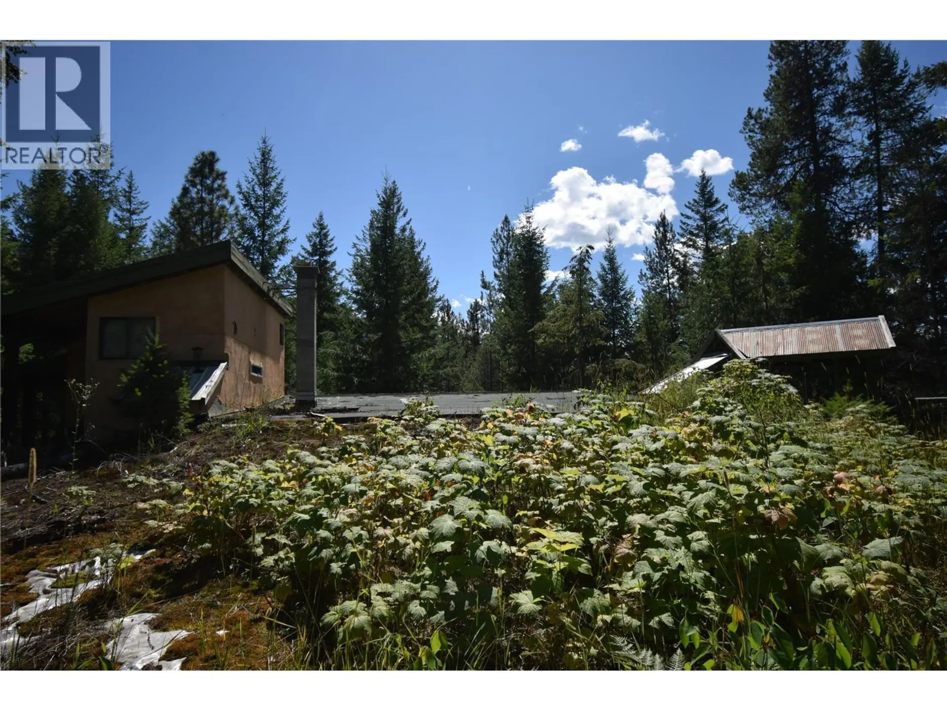 Property at HIGHWAY 6, Lemon Creek, BC
