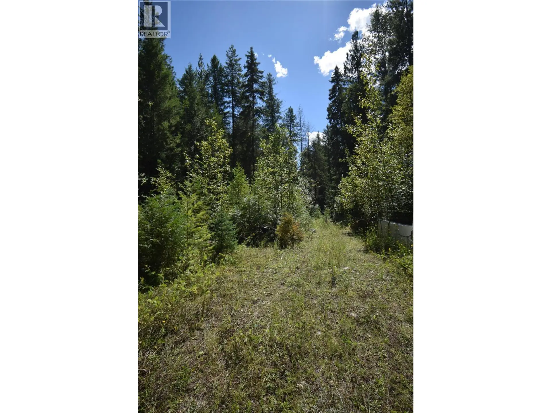 Property at HIGHWAY 6, Lemon Creek, BC