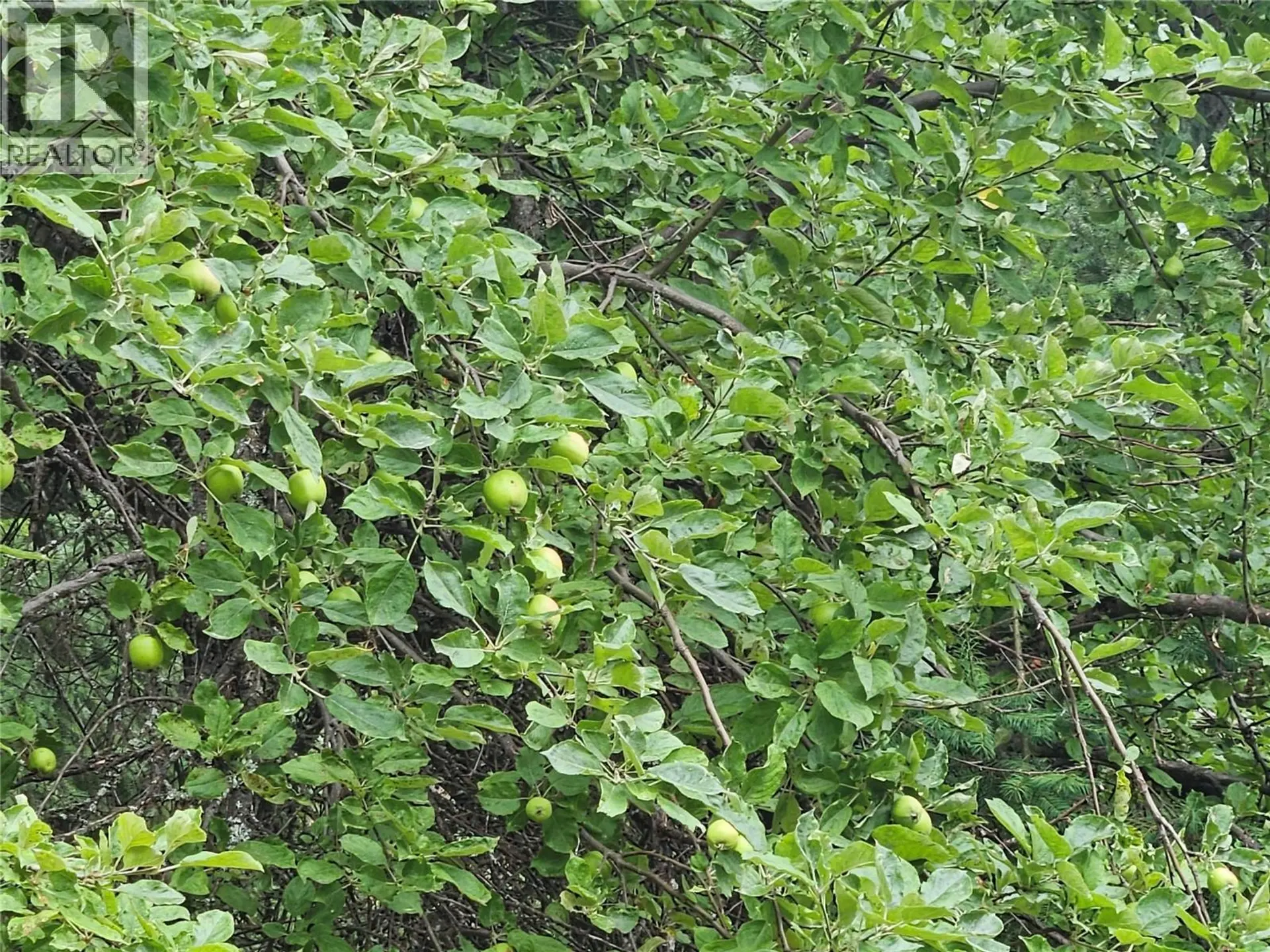 Property at 130 LOWER FAUQUIER ROAD, Fauquier, BC