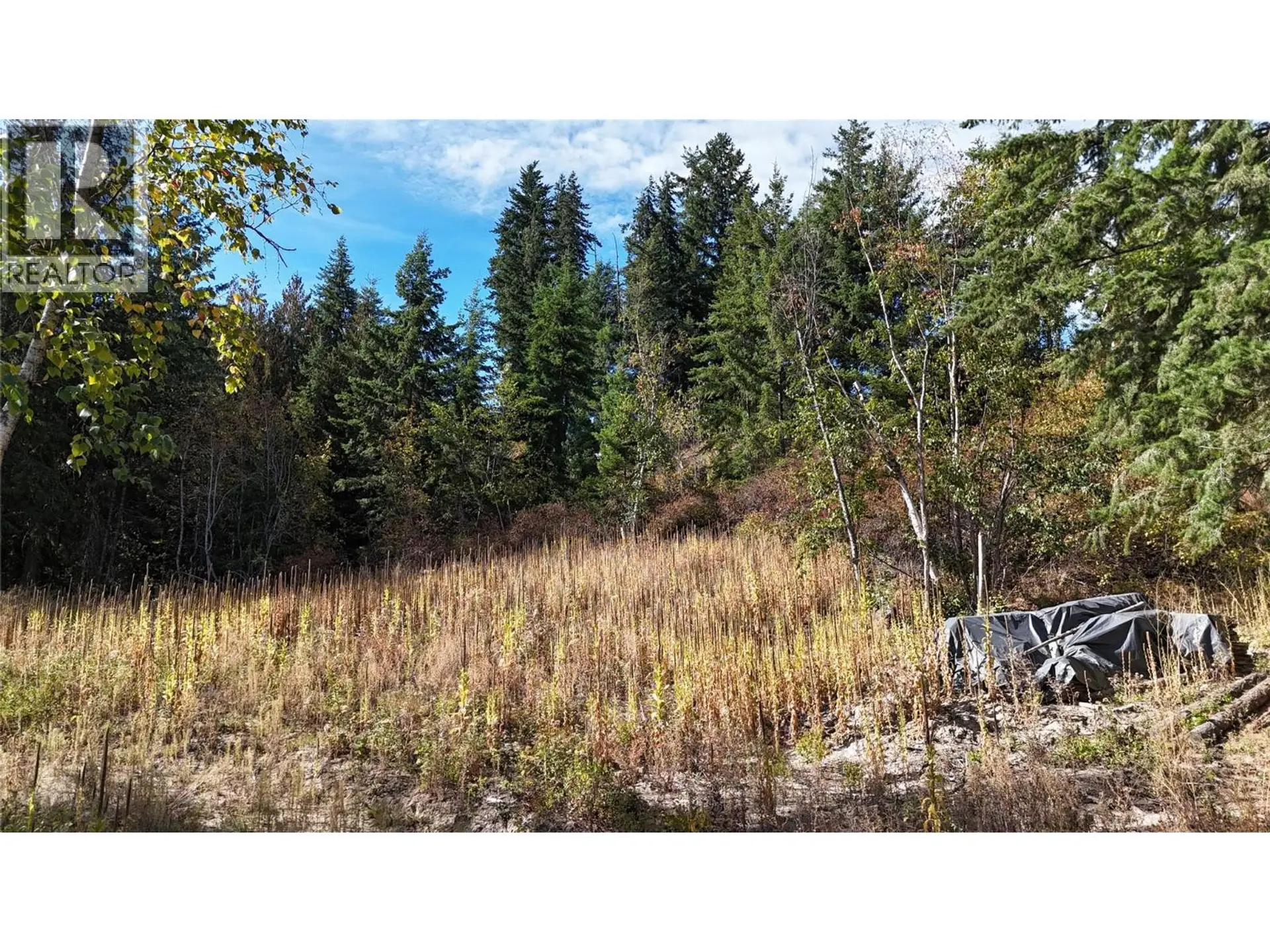Property at LOT 42 FOREST DRIVE, Blind Bay, BC