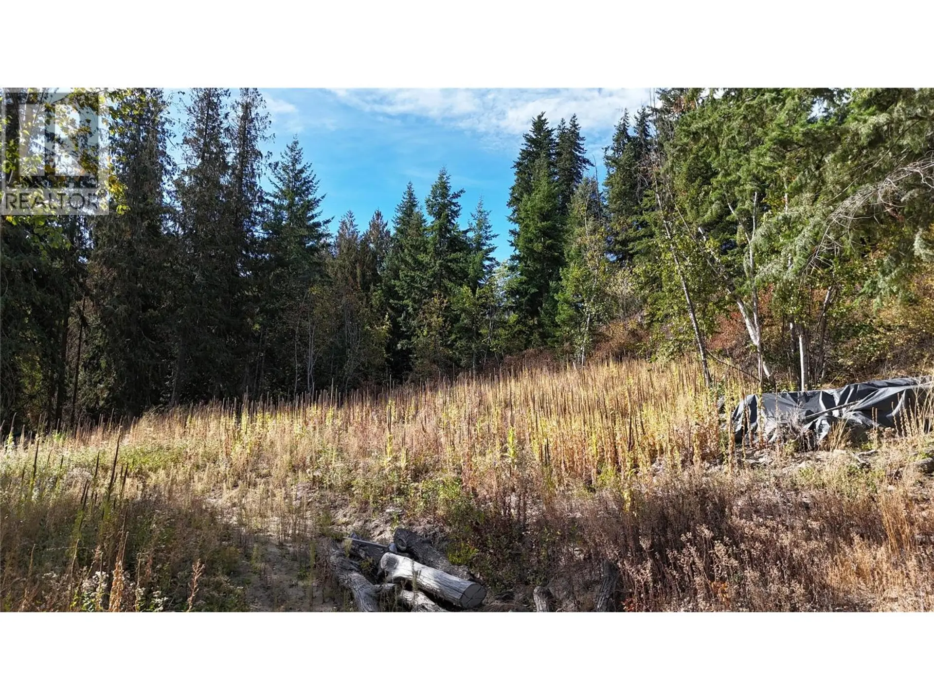 Property at LOT 42 FOREST DRIVE, Blind Bay, BC