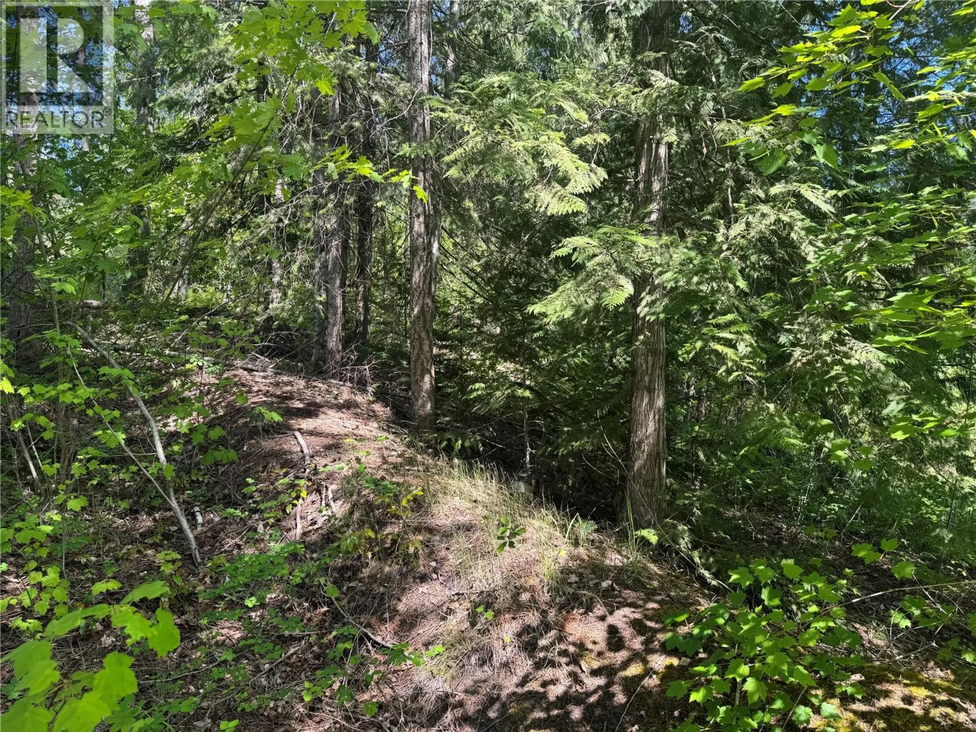 Property at 4981 5 AVENUE SW, Salmon Arm, BC