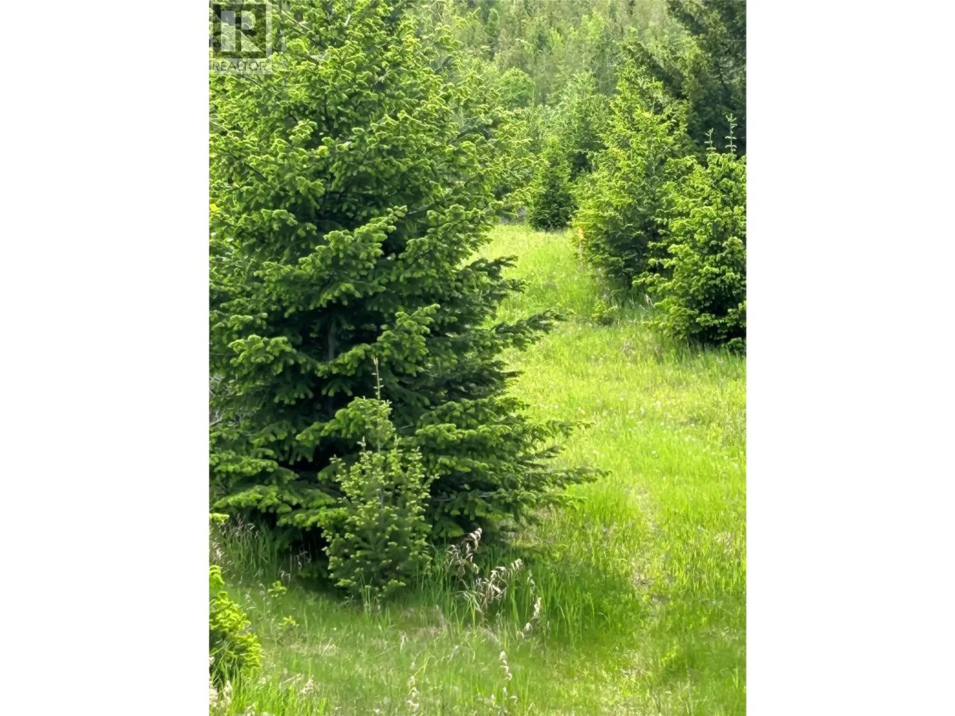 Property at 890 DILWORTH ROAD, Sorrento, BC