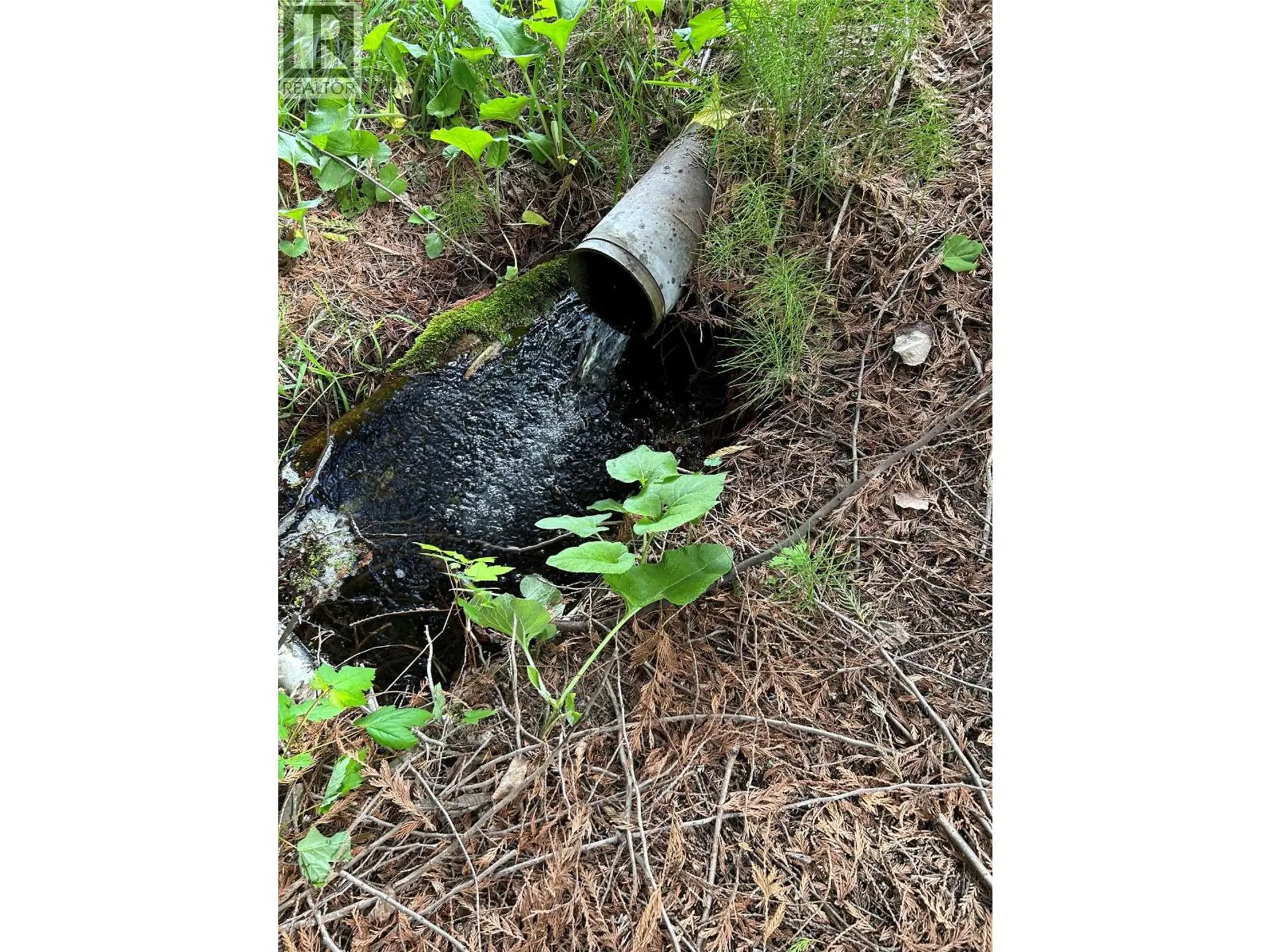 Property at 890 DILWORTH ROAD, Sorrento, BC