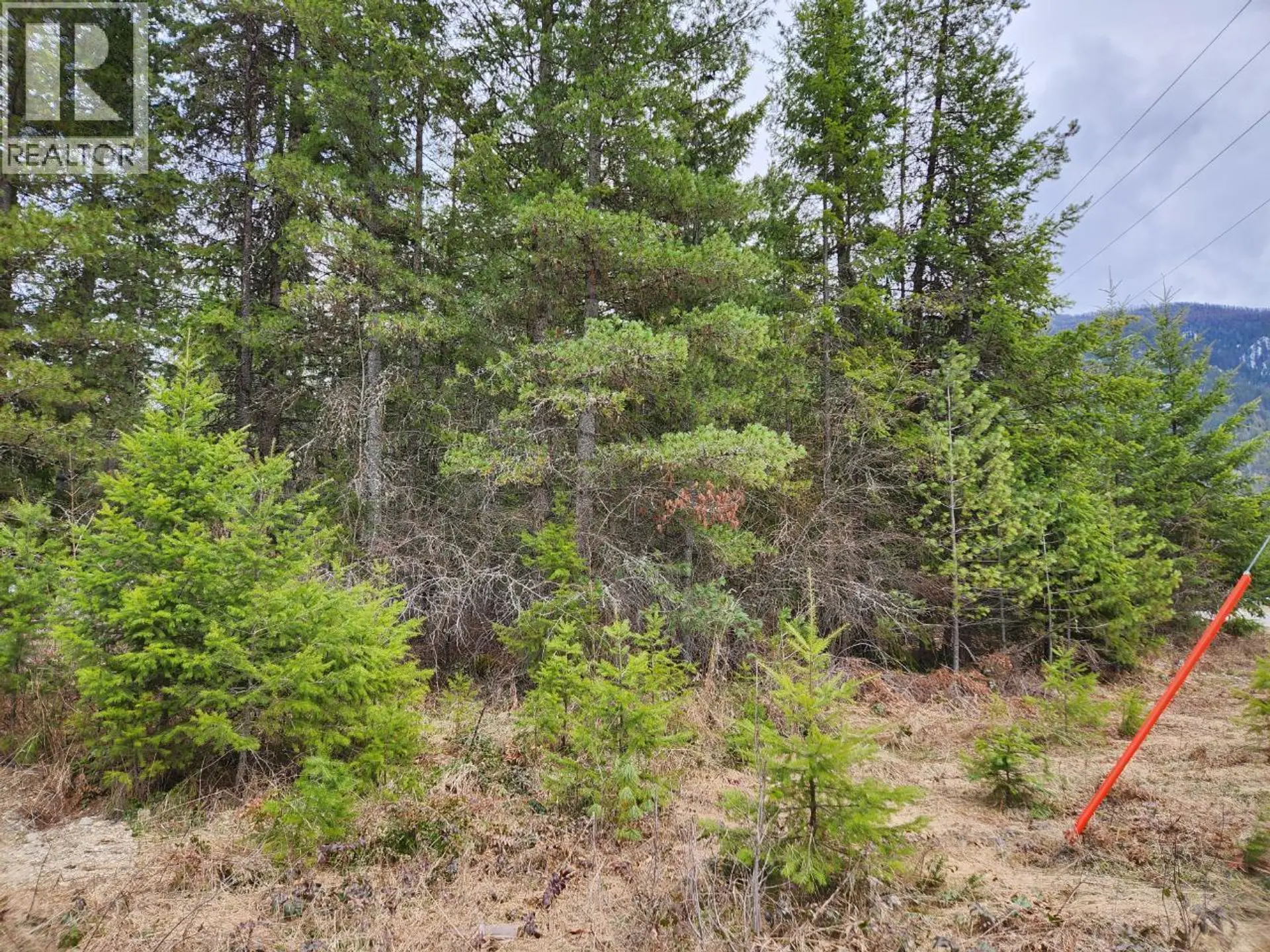 Property at LOTS 8-10 HUME STREET, Slocan, BC