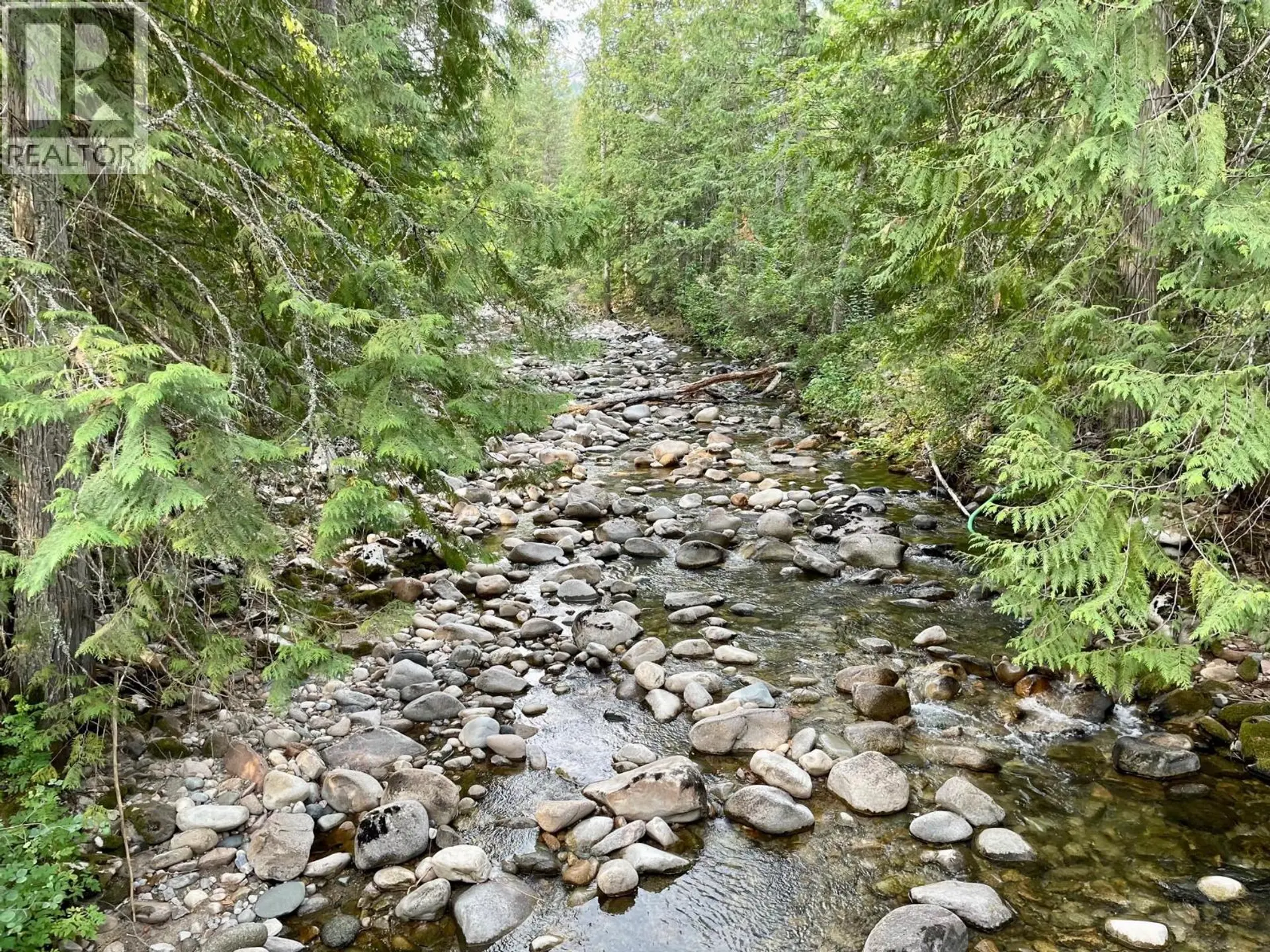 Property at PARCEL B RENATA FORESTRY ROAD, Renata, BC