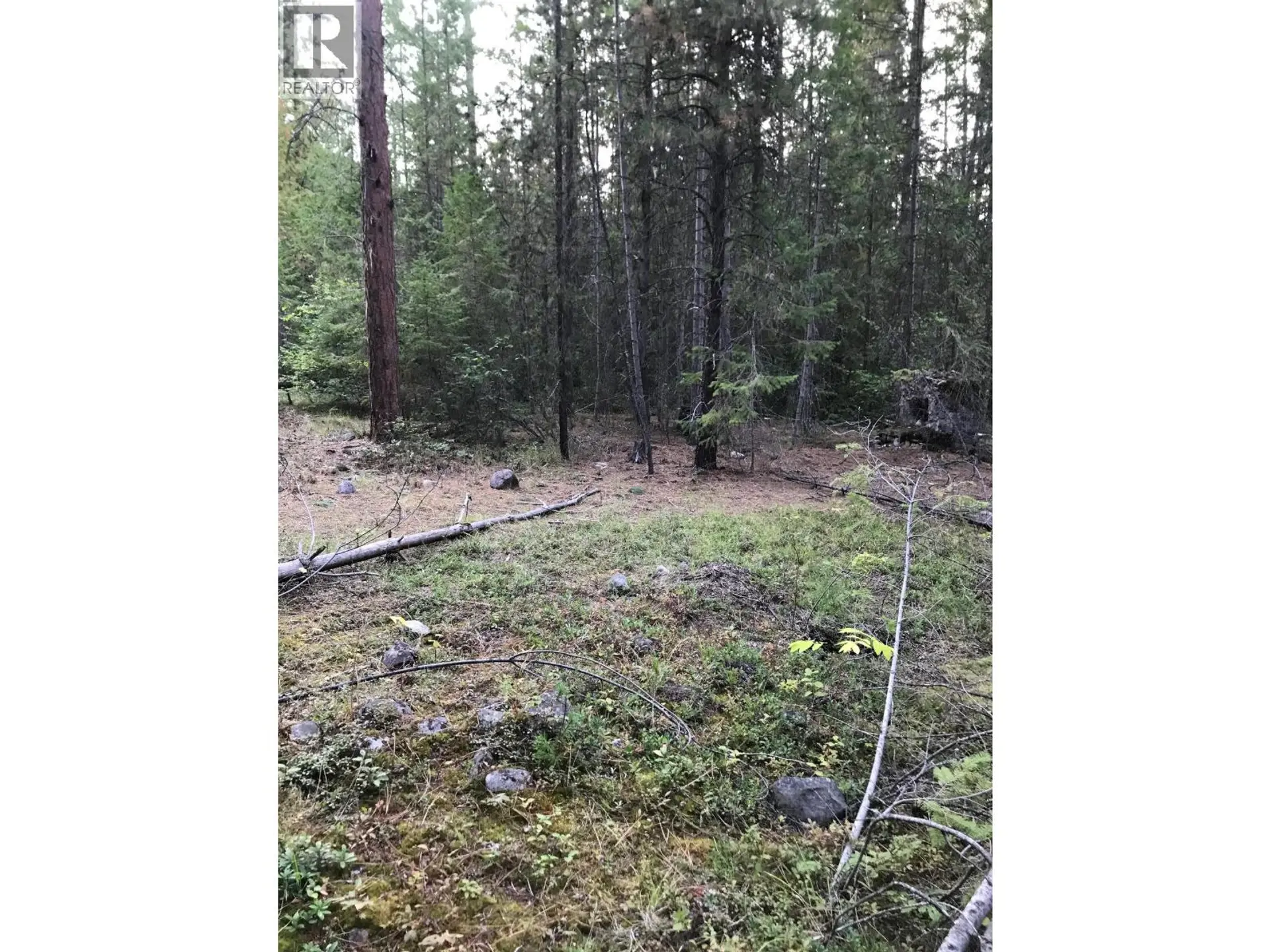 Property at PARCEL B RENATA FORESTRY ROAD, Renata, BC