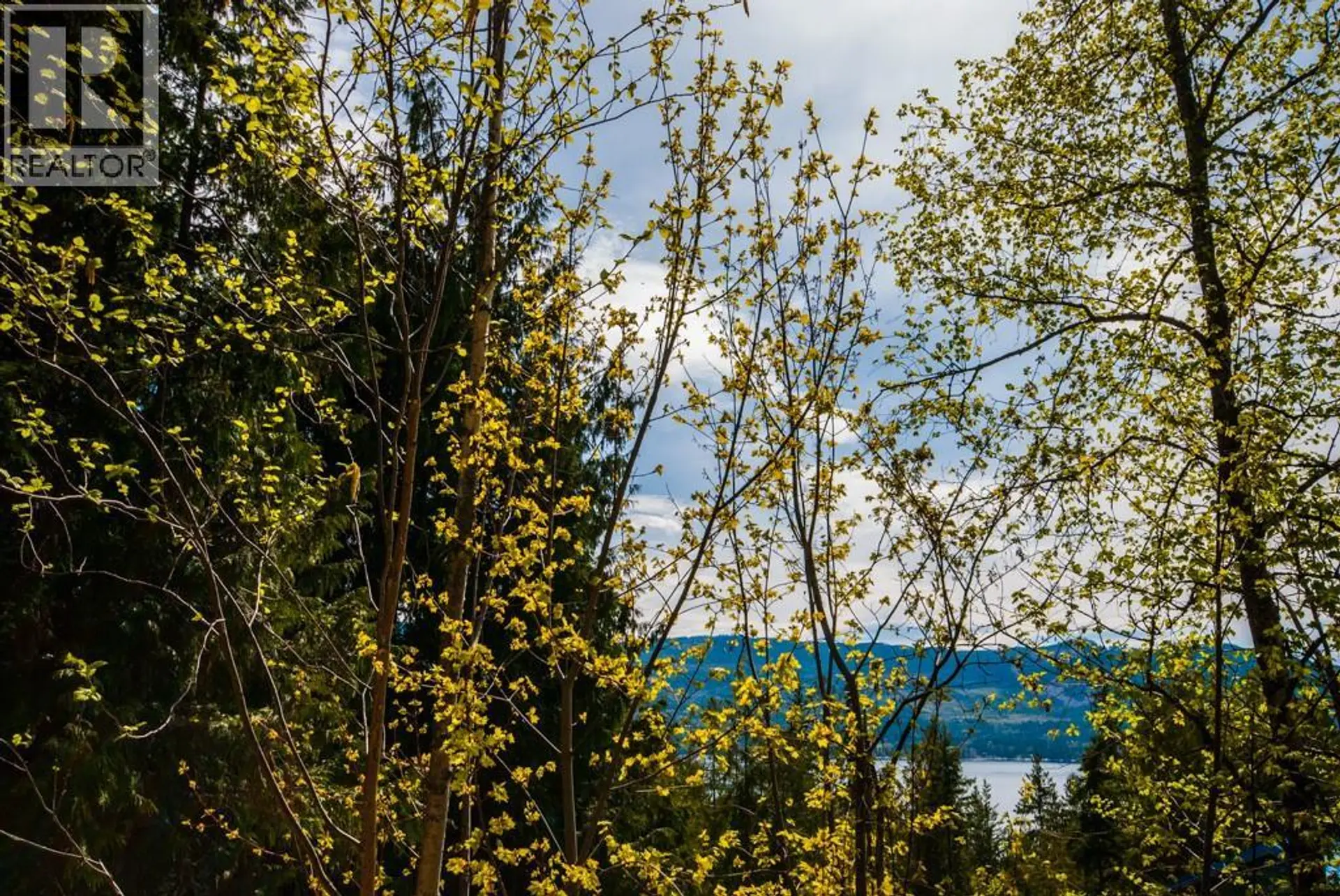 Property at LOT 57 LONNEKE TRAIL, Anglemont, BC