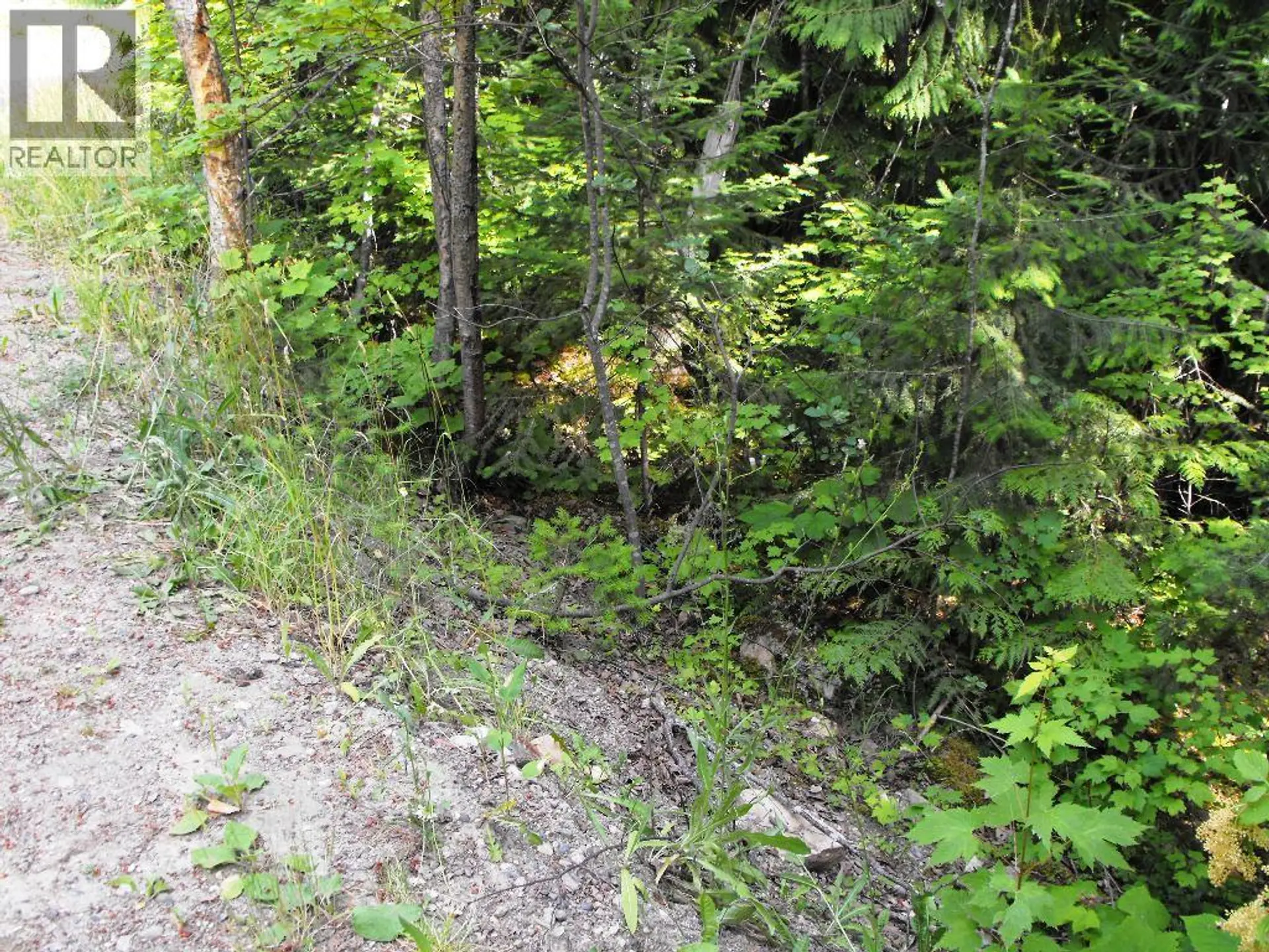Property at LOT 57 LONNEKE TRAIL, Anglemont, BC
