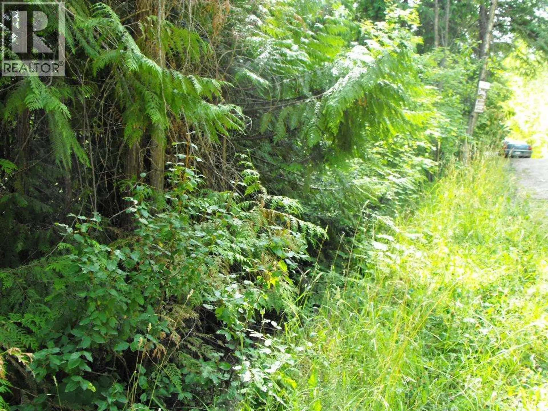 Property at LOT 57 LONNEKE TRAIL, Anglemont, BC