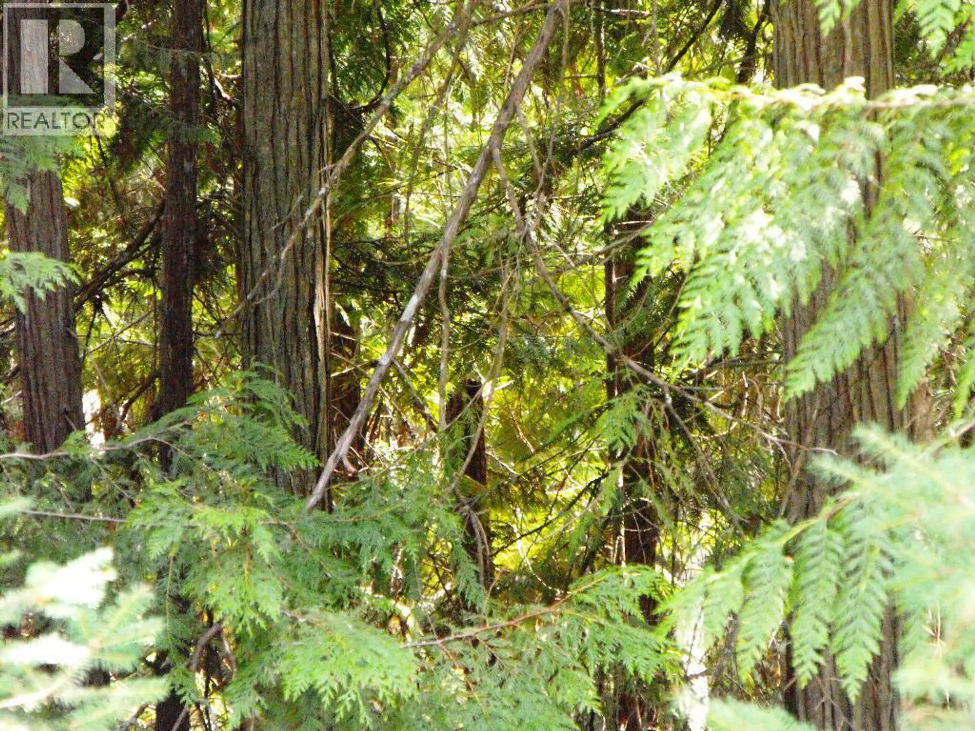 Property at LOT 57 LONNEKE TRAIL, Anglemont, BC