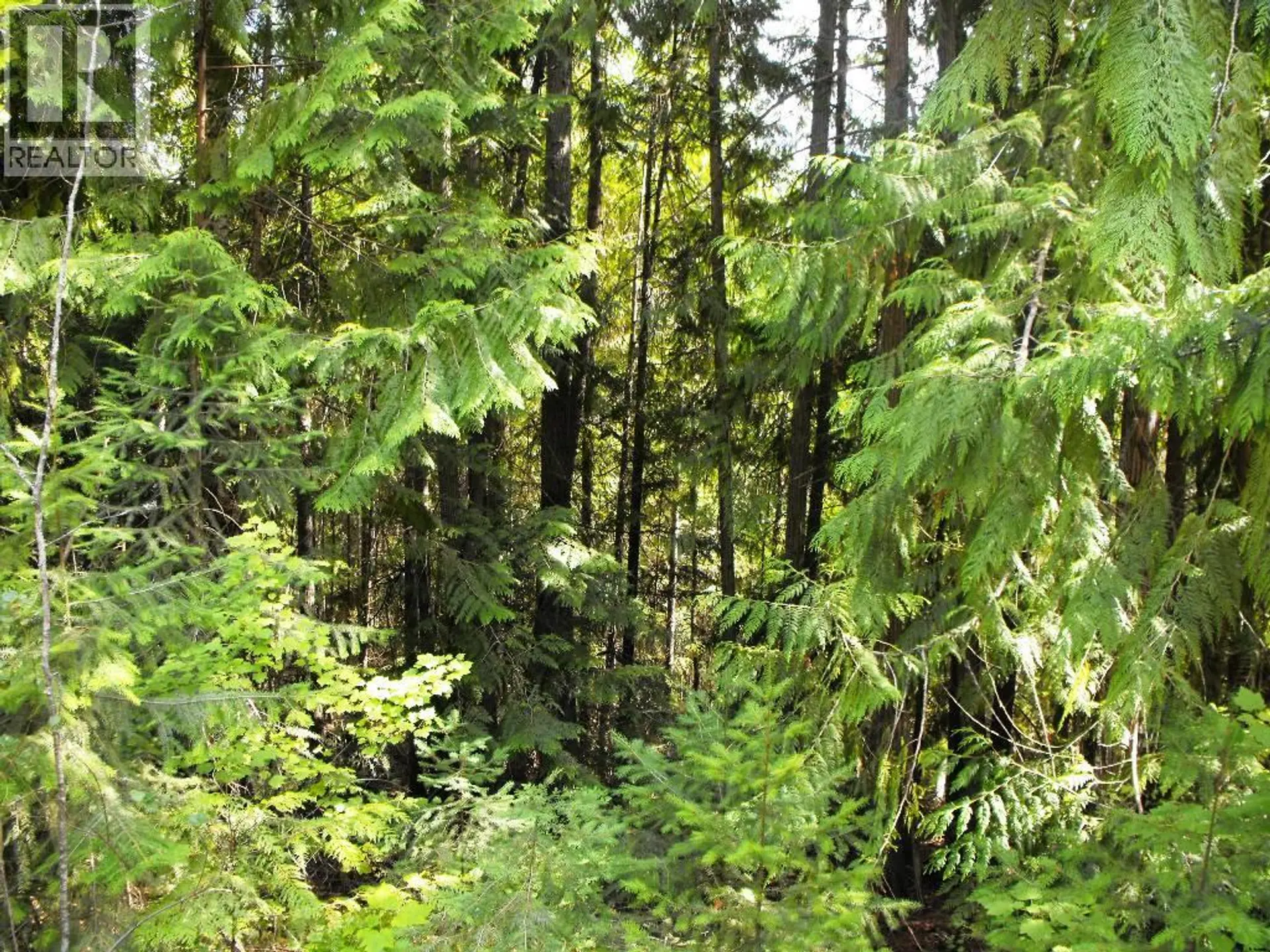 Property at LOT 57 LONNEKE TRAIL, Anglemont, BC