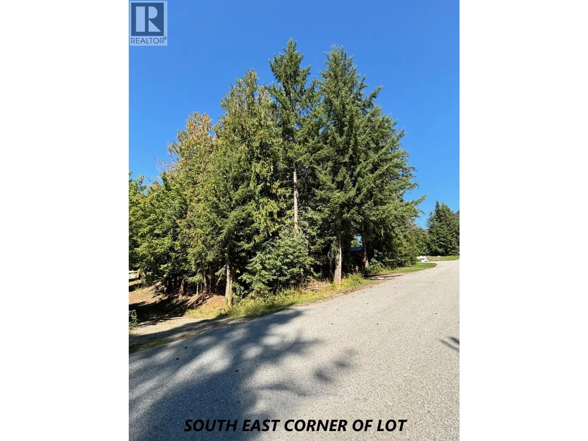 Property at PARCEL C COLUMBIA STREET, New Denver, BC