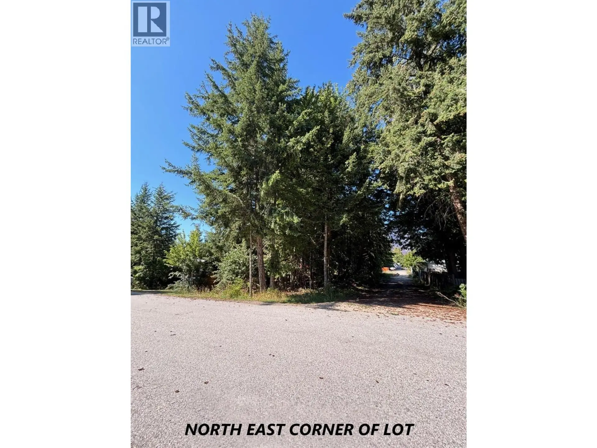 Property at PARCEL C COLUMBIA STREET, New Denver, BC